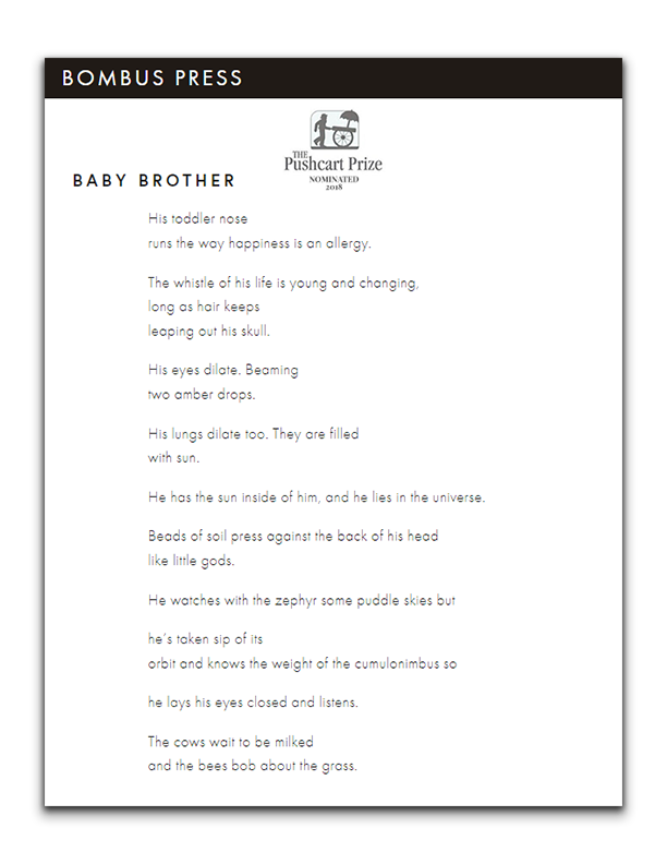 BabyBrother.png