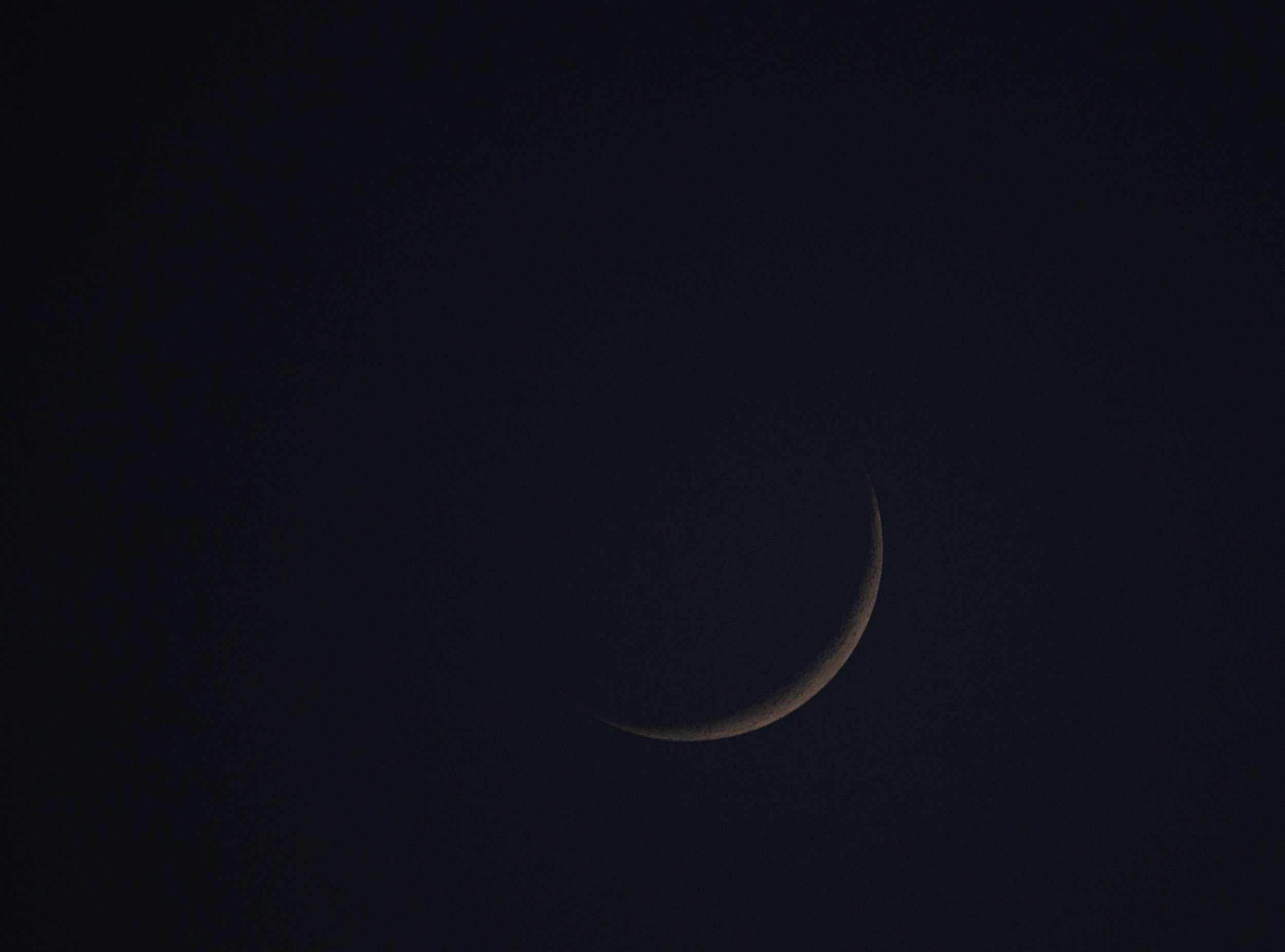 New Year, New Moon – (ABIB) Green Ear: It’s a New Year!