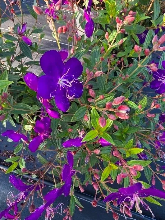20260504_081146.jpg