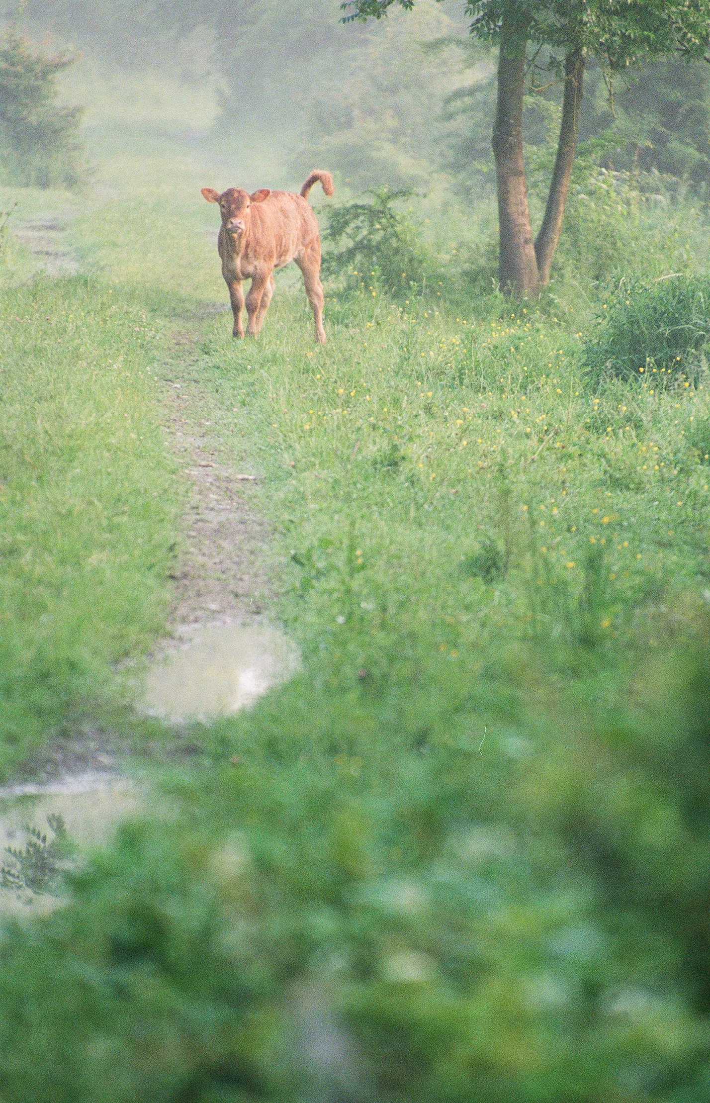 wildlife-44.jpg
