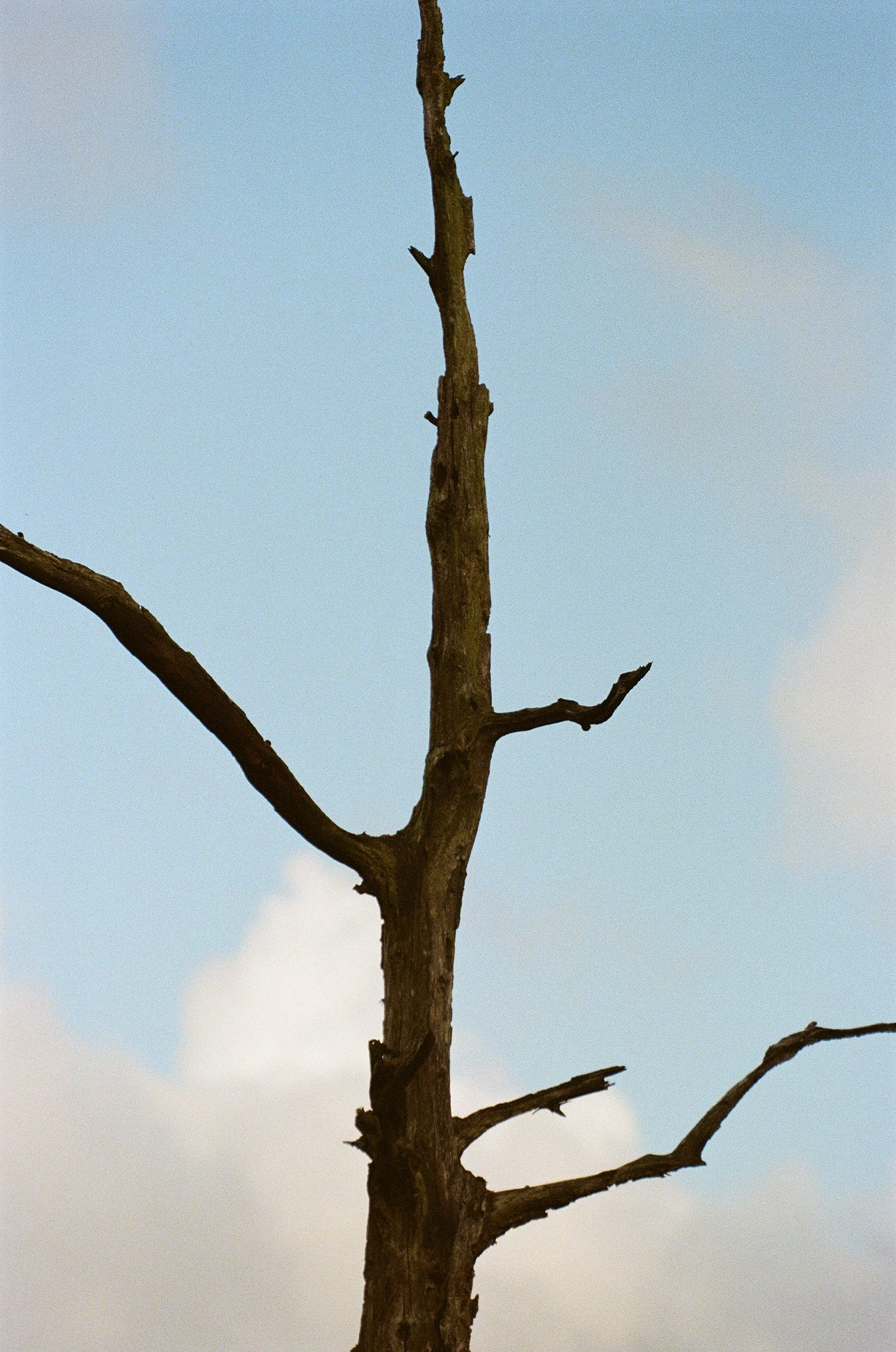 wildlife-39.jpg