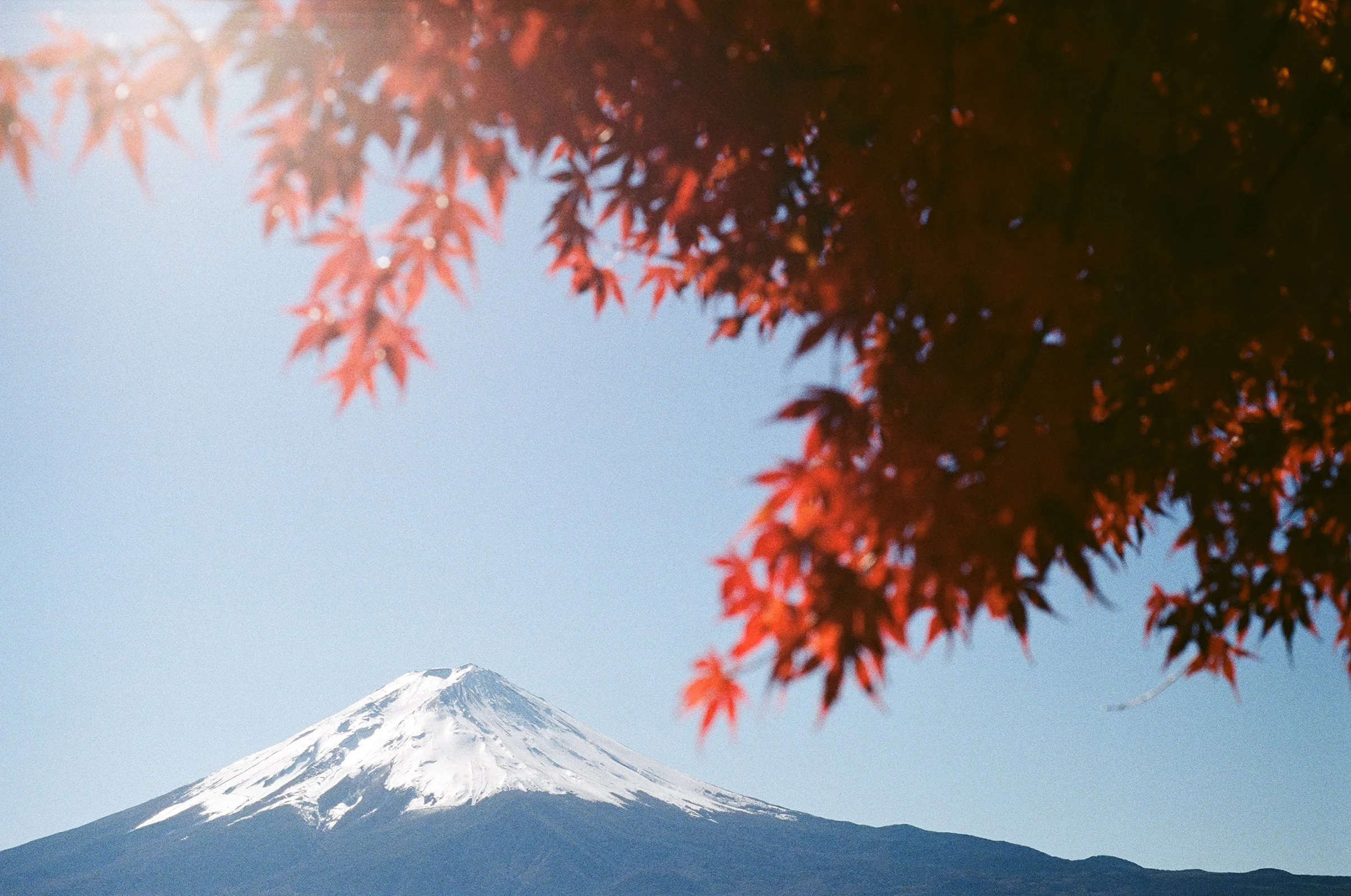 23-11_JP_030.jpg