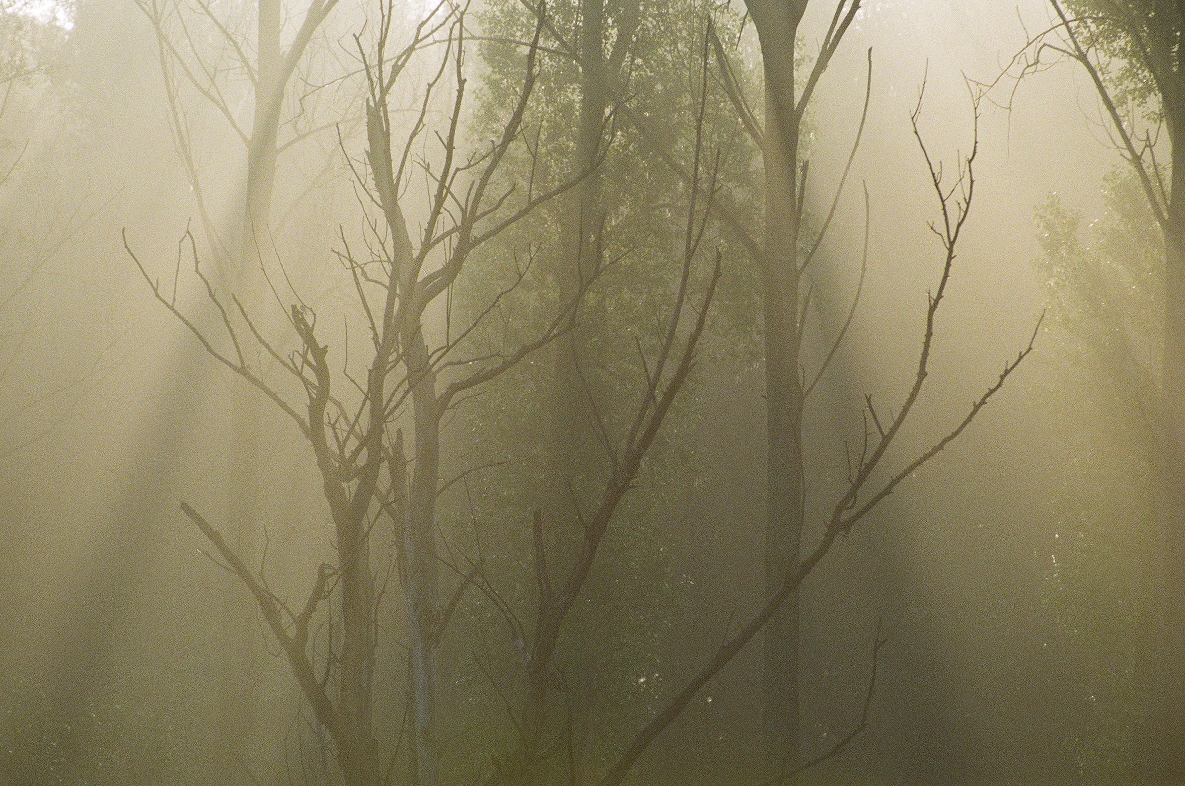 wildlife-46.jpg
