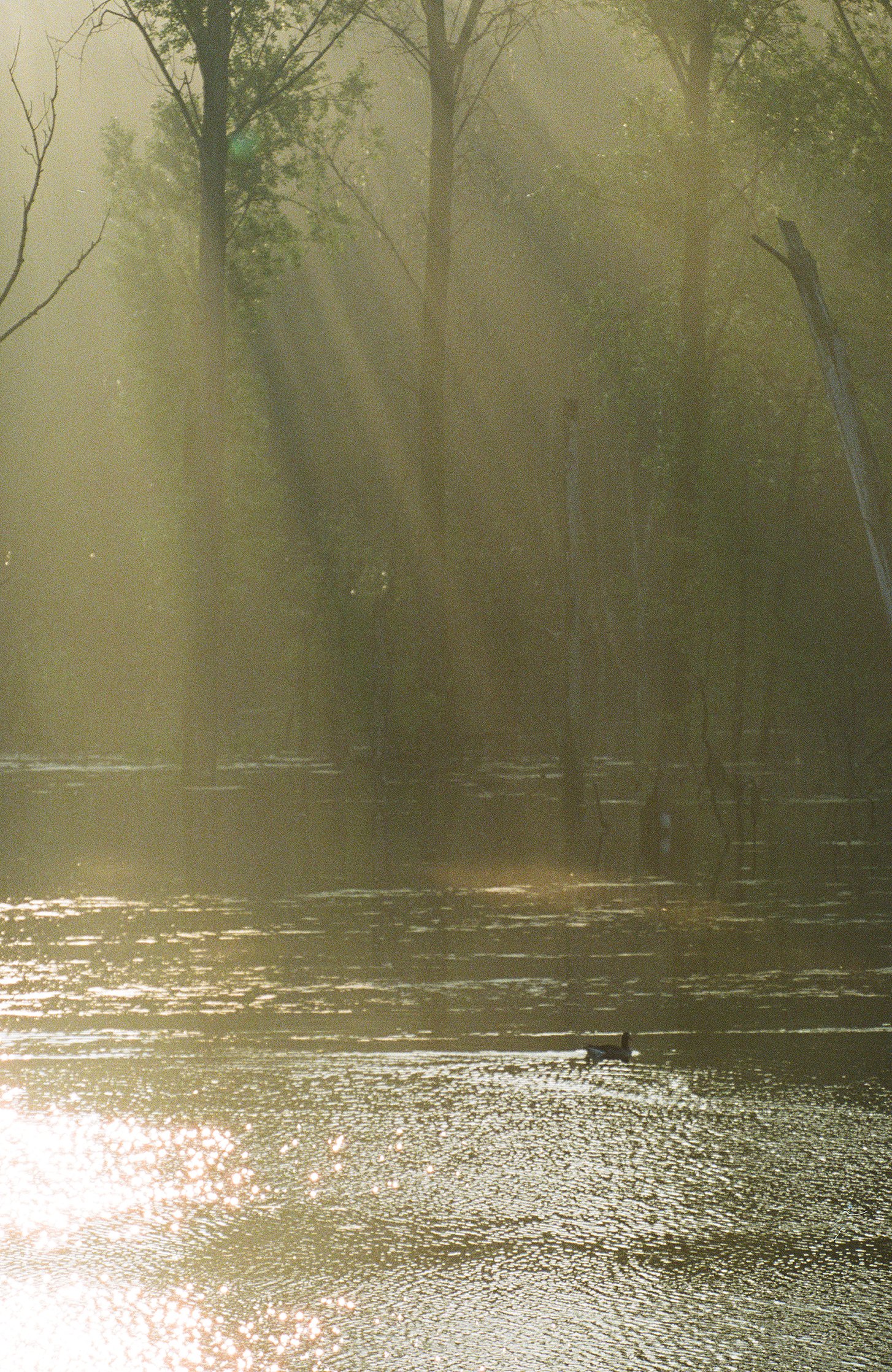 wildlife-45.jpg