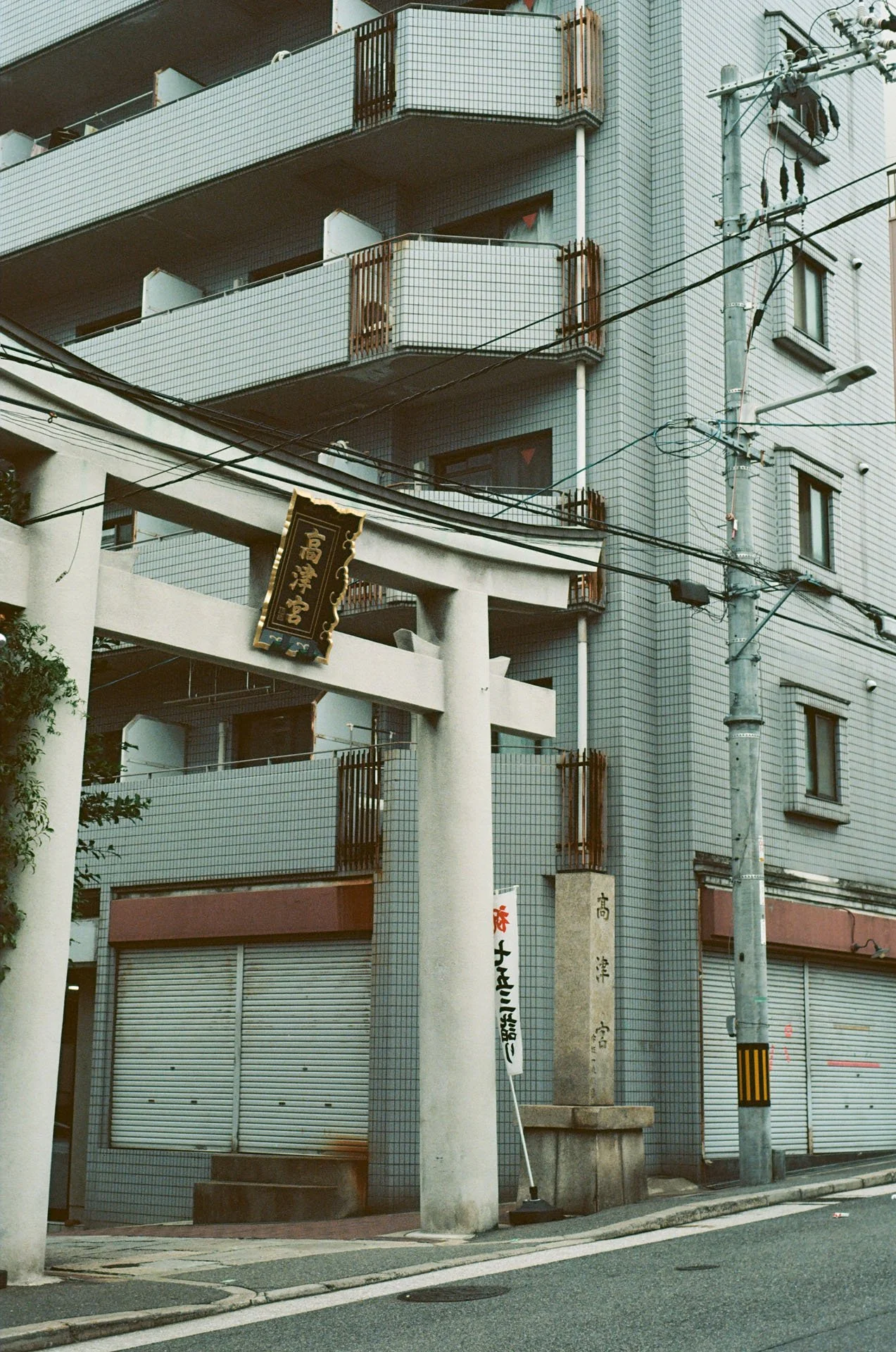 000019750006.jpg
