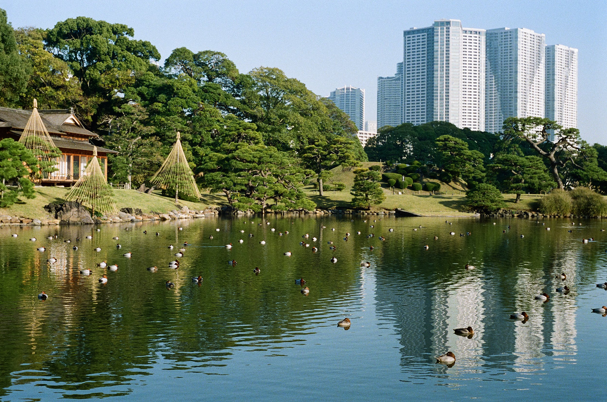 23-11_JP_054.jpg