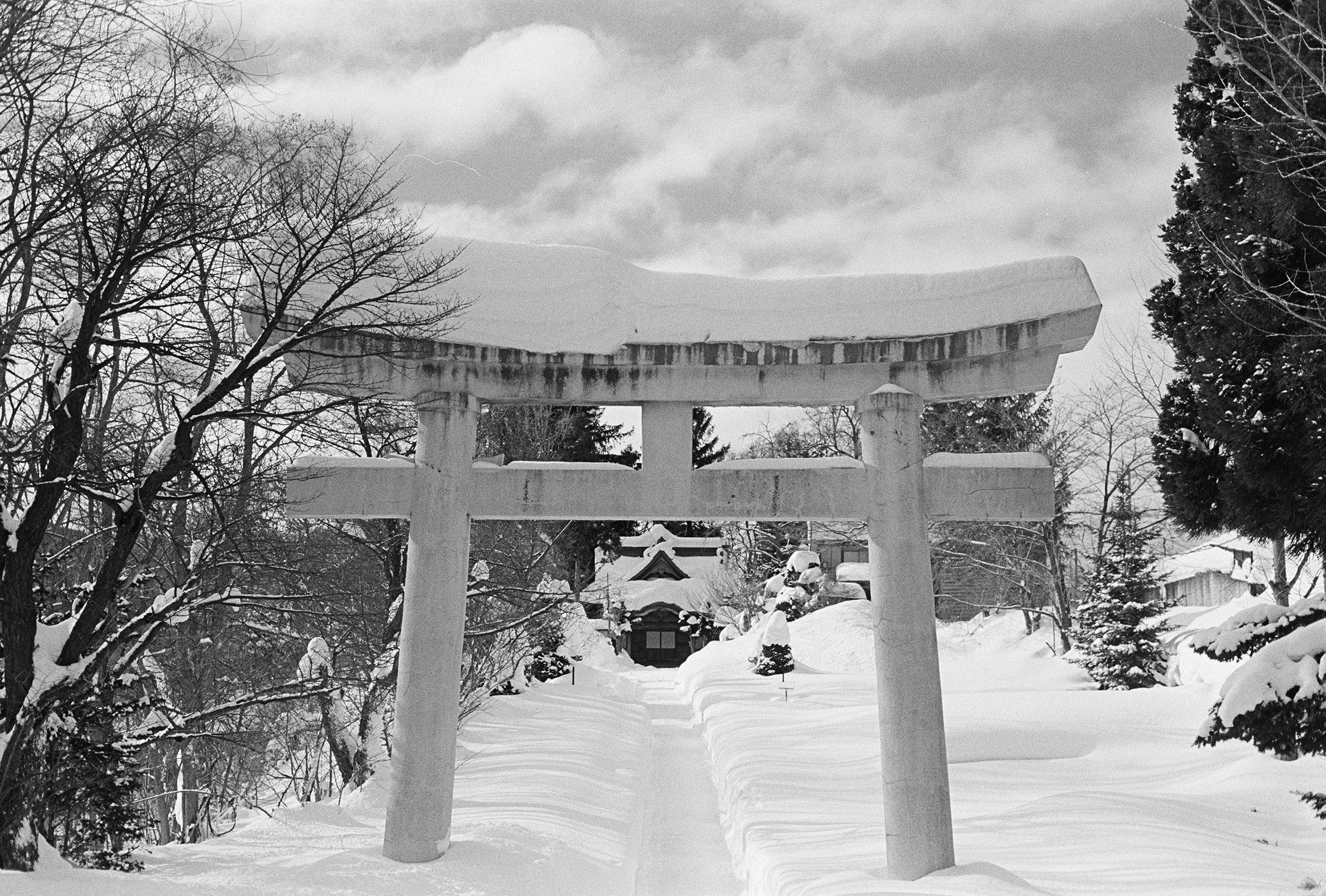 japow25-02.jpg