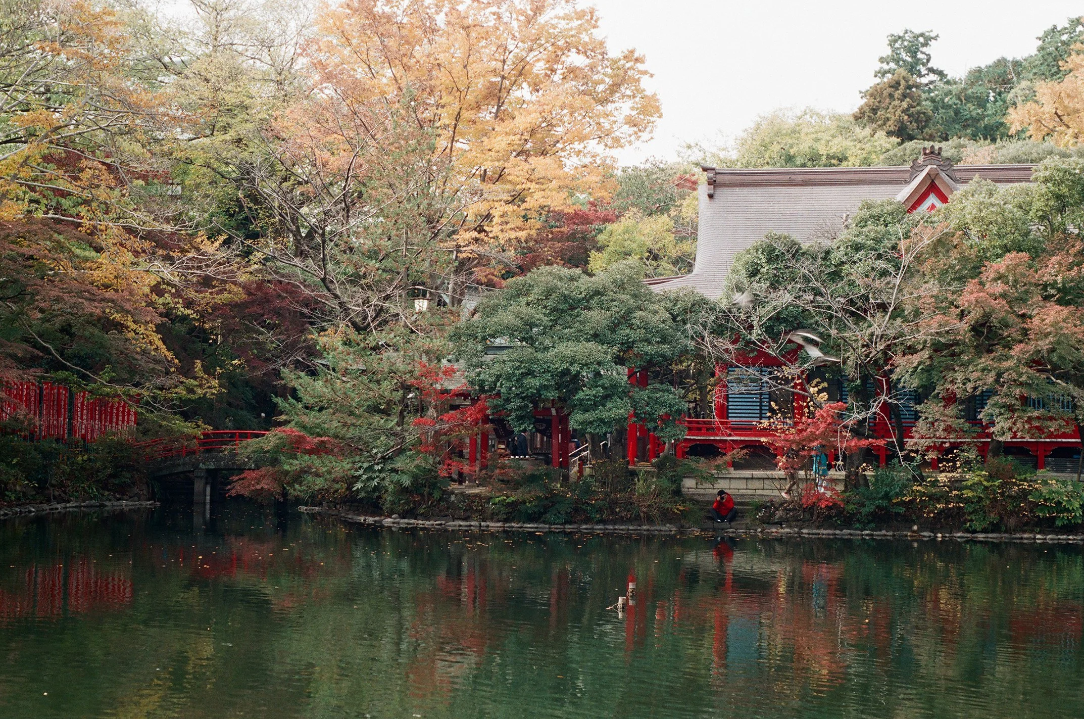 23-11_JP_064.jpg