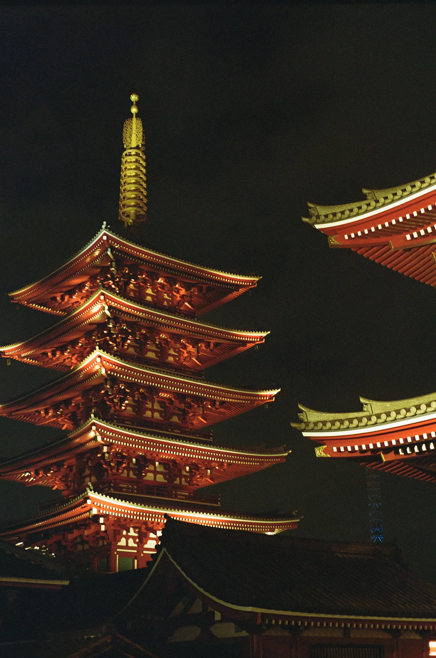 23-11_JP_050.jpg
