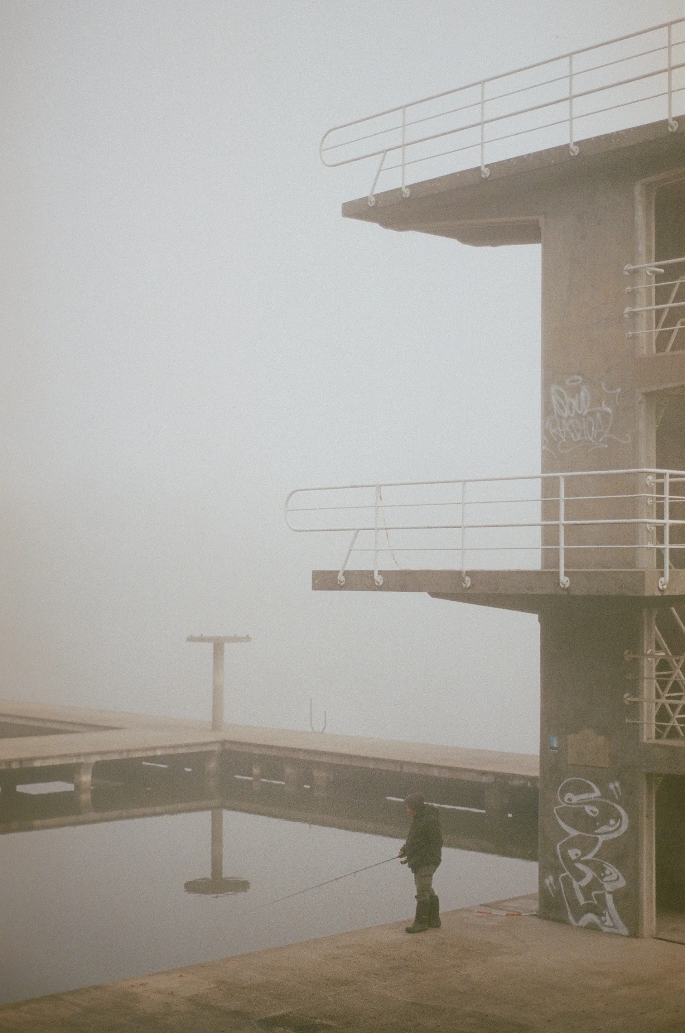foggy_woog-1.jpg