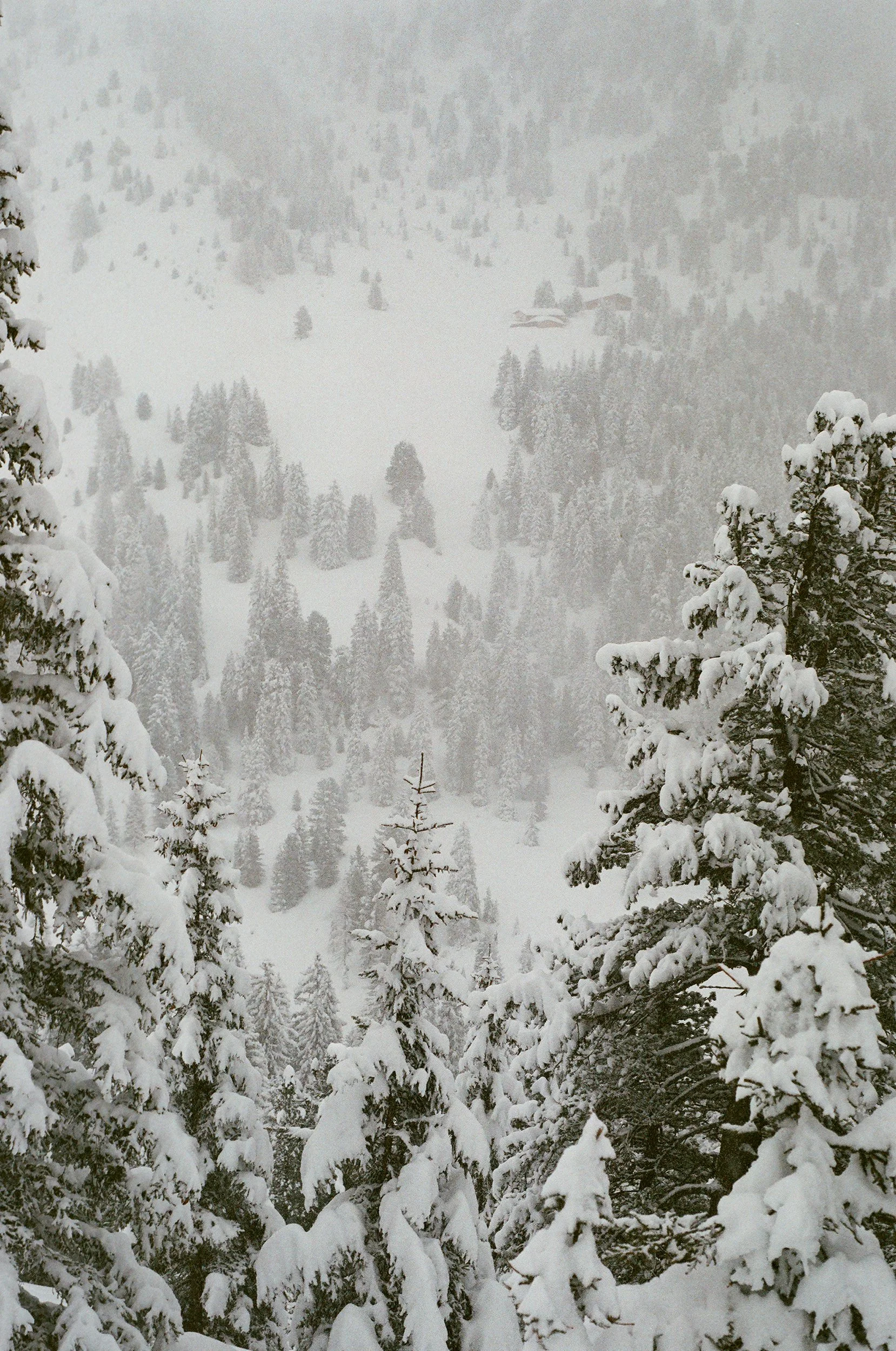 winter-9.jpg