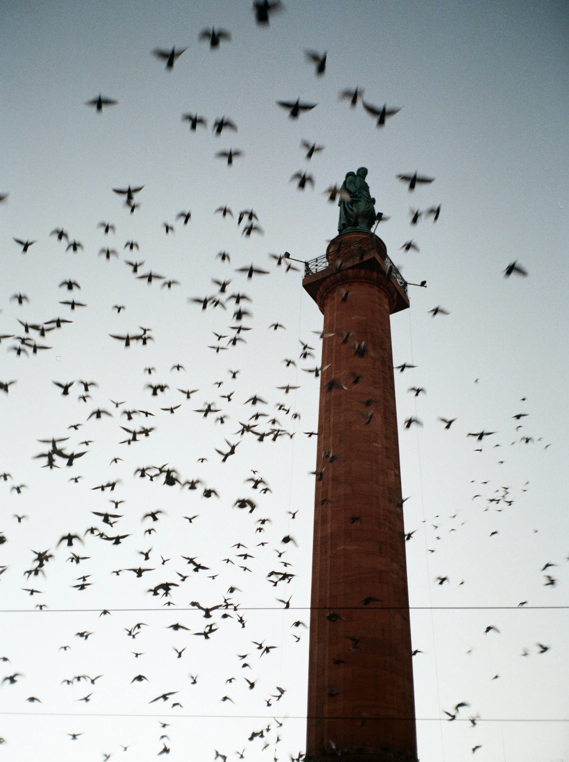 darmstadt-2.jpg