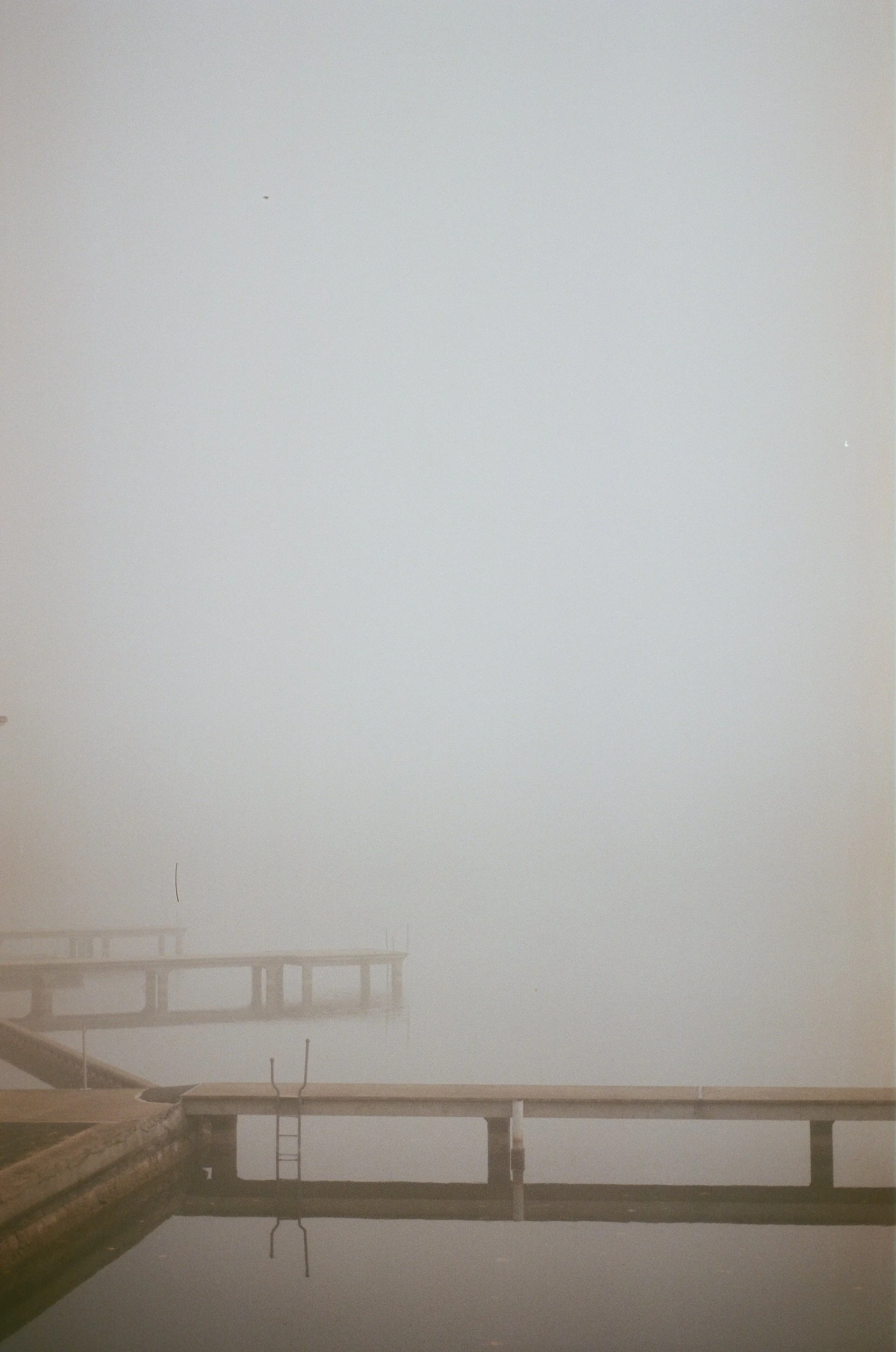 foggy_woog-5.jpg