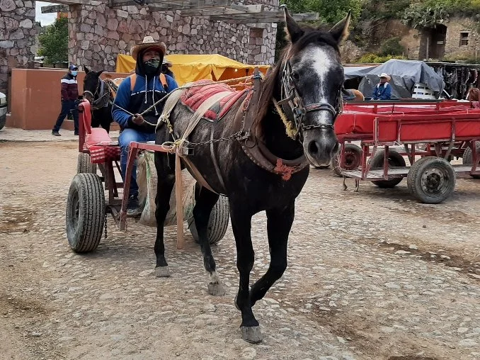 El Gringo Perdido: Part 3