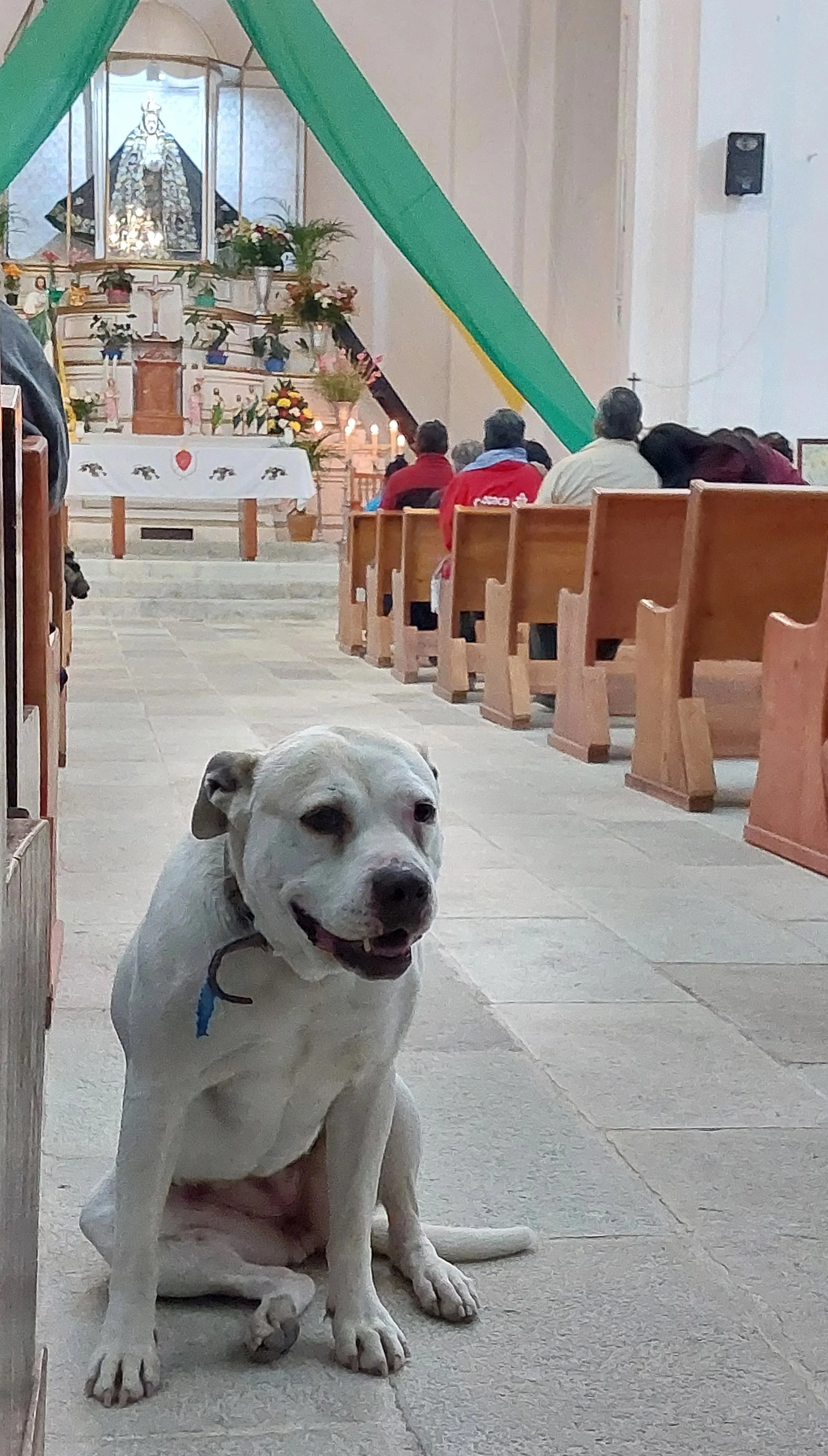 Mexican Church. Adventure Travel. Motorcycle Journey. Street Dog.