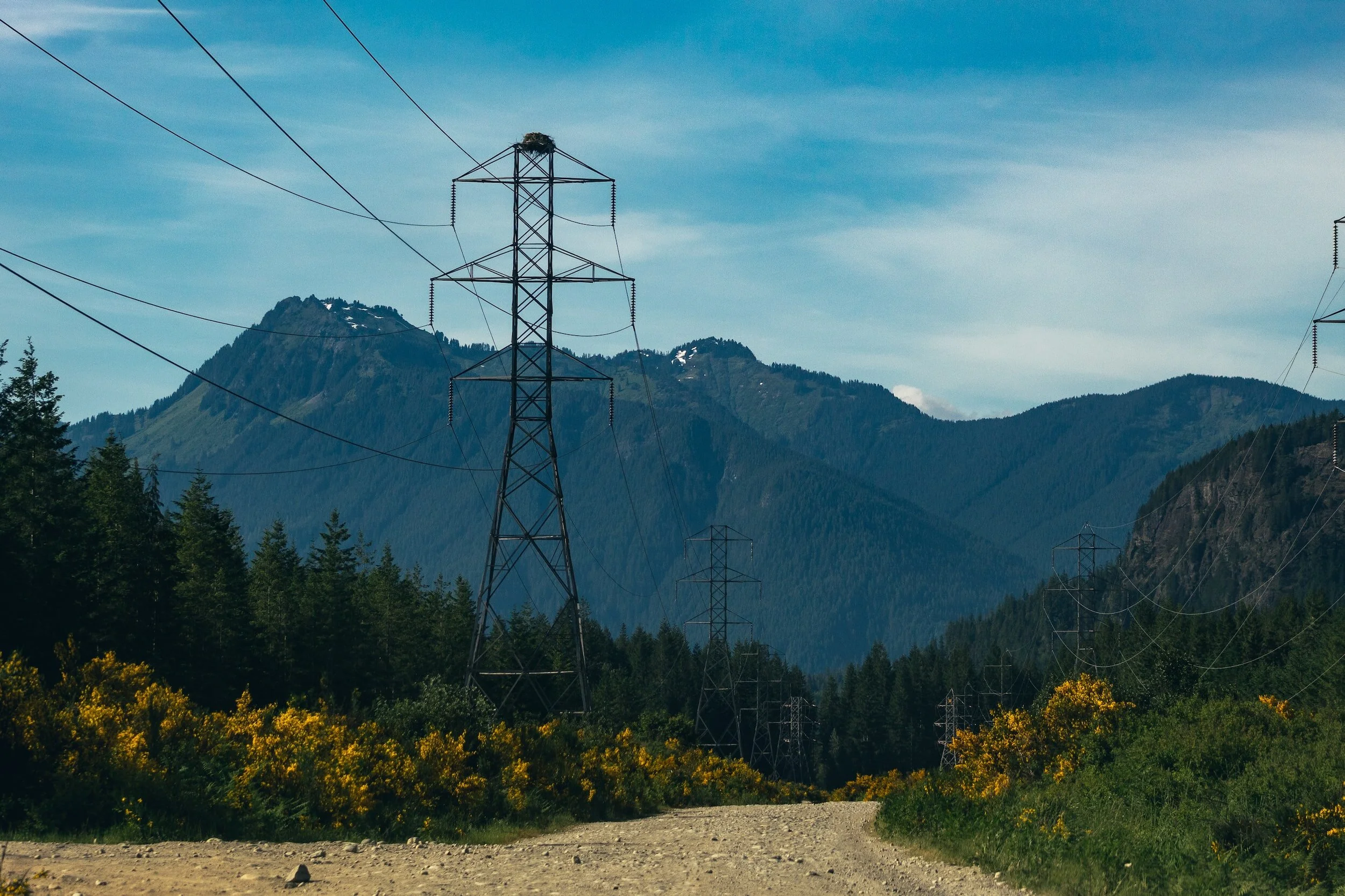 Electricity Congestion and Curtailment 101: Causes and Impacts