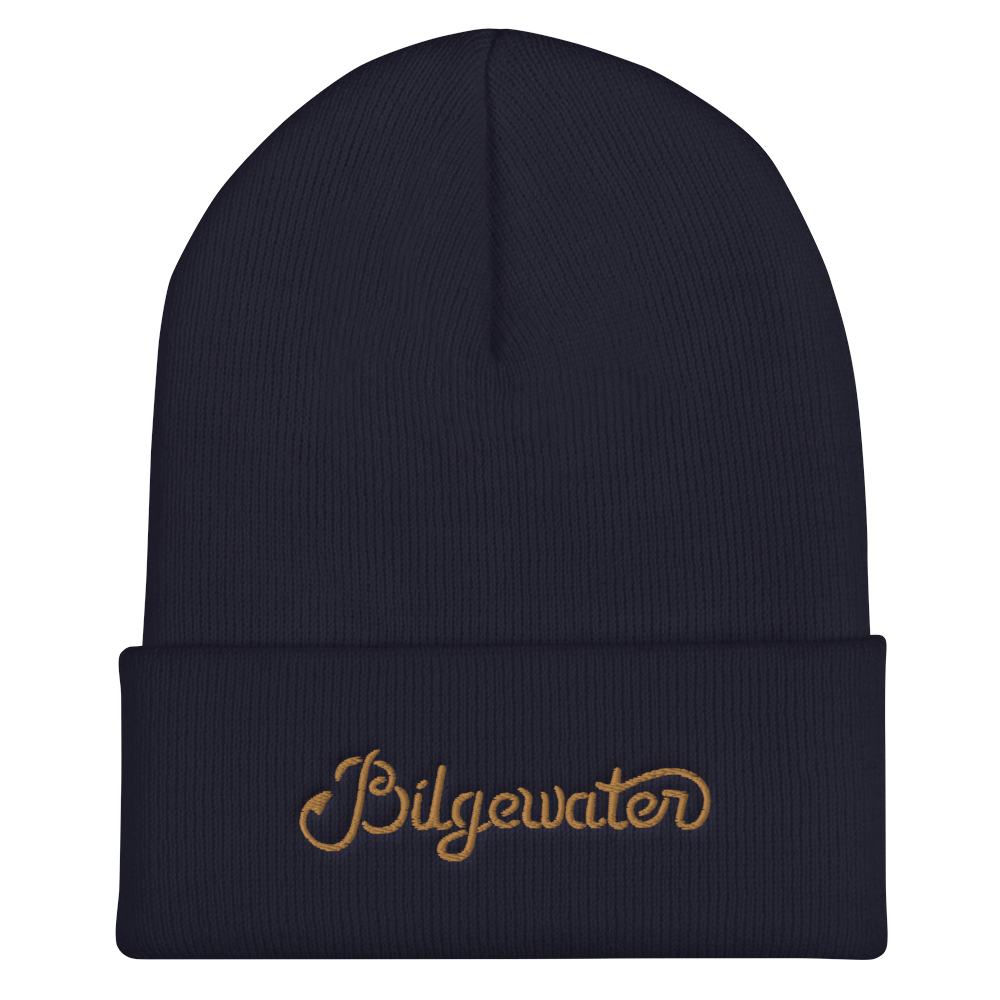 cuffed-beanie-navy-front-62a0fdeca28b1.png