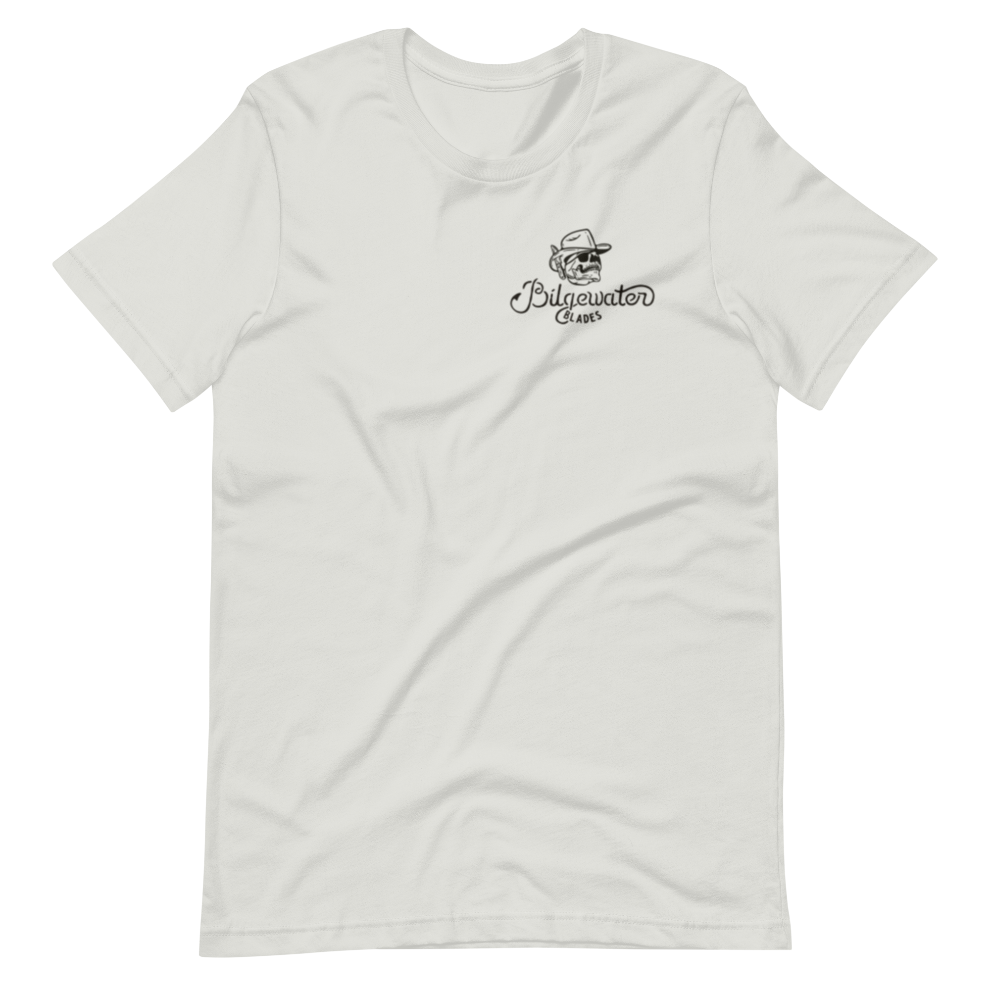 unisex-staple-t-shirt-silver-front-6529967b33e22.png