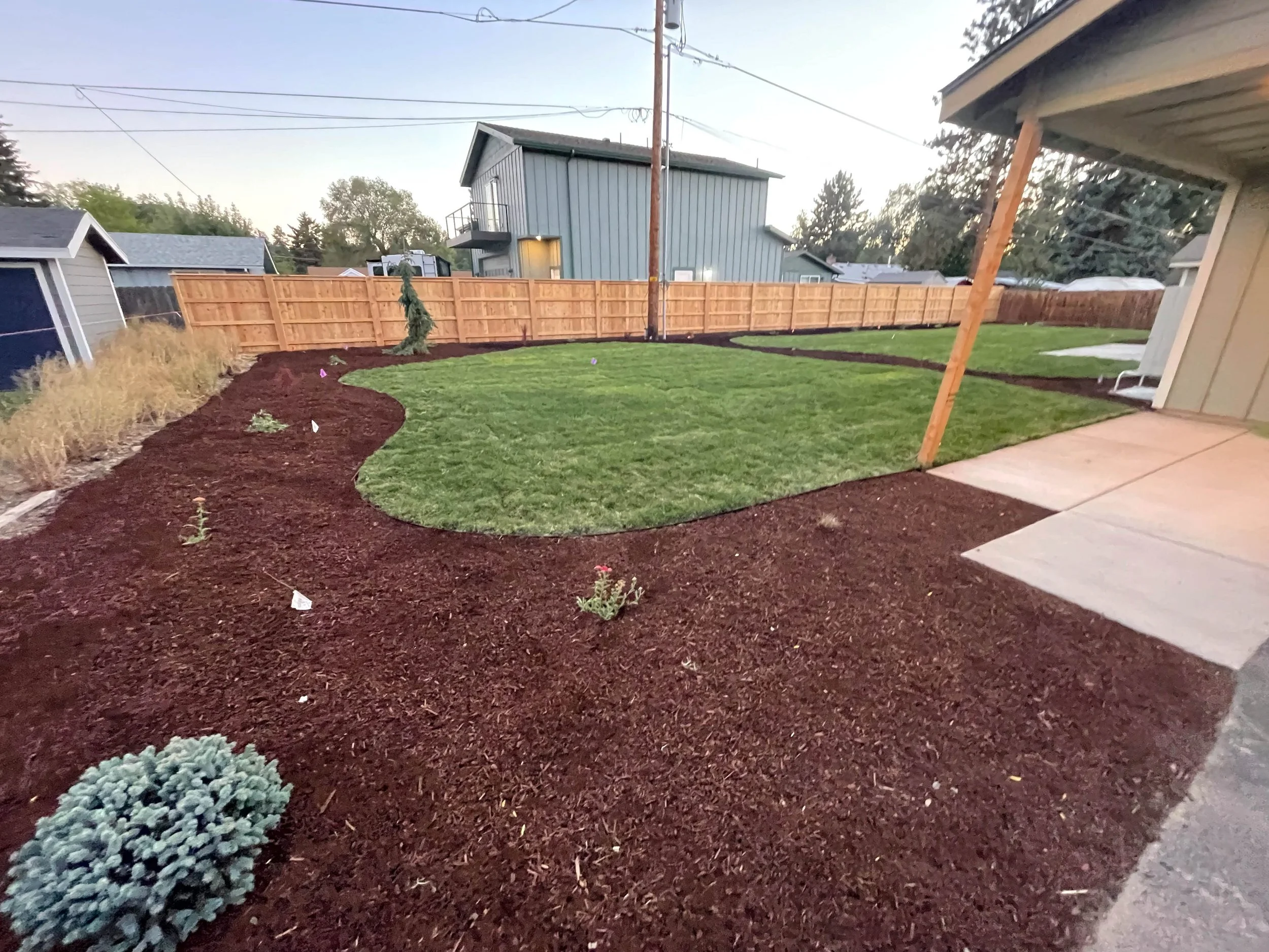New sod with drip irrigation, Bend Oregon