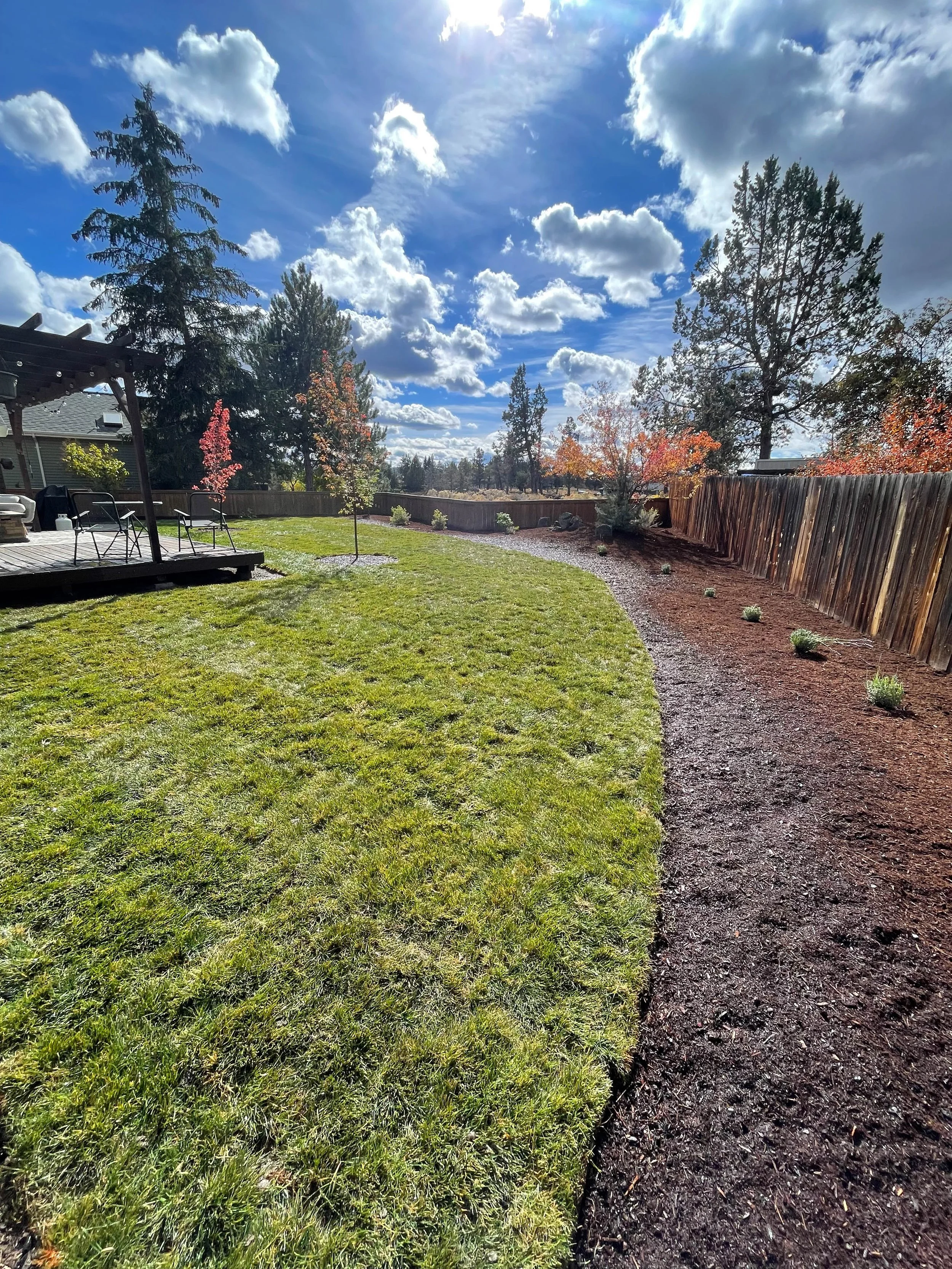 New sod with drip irrigation, Bend Oregon