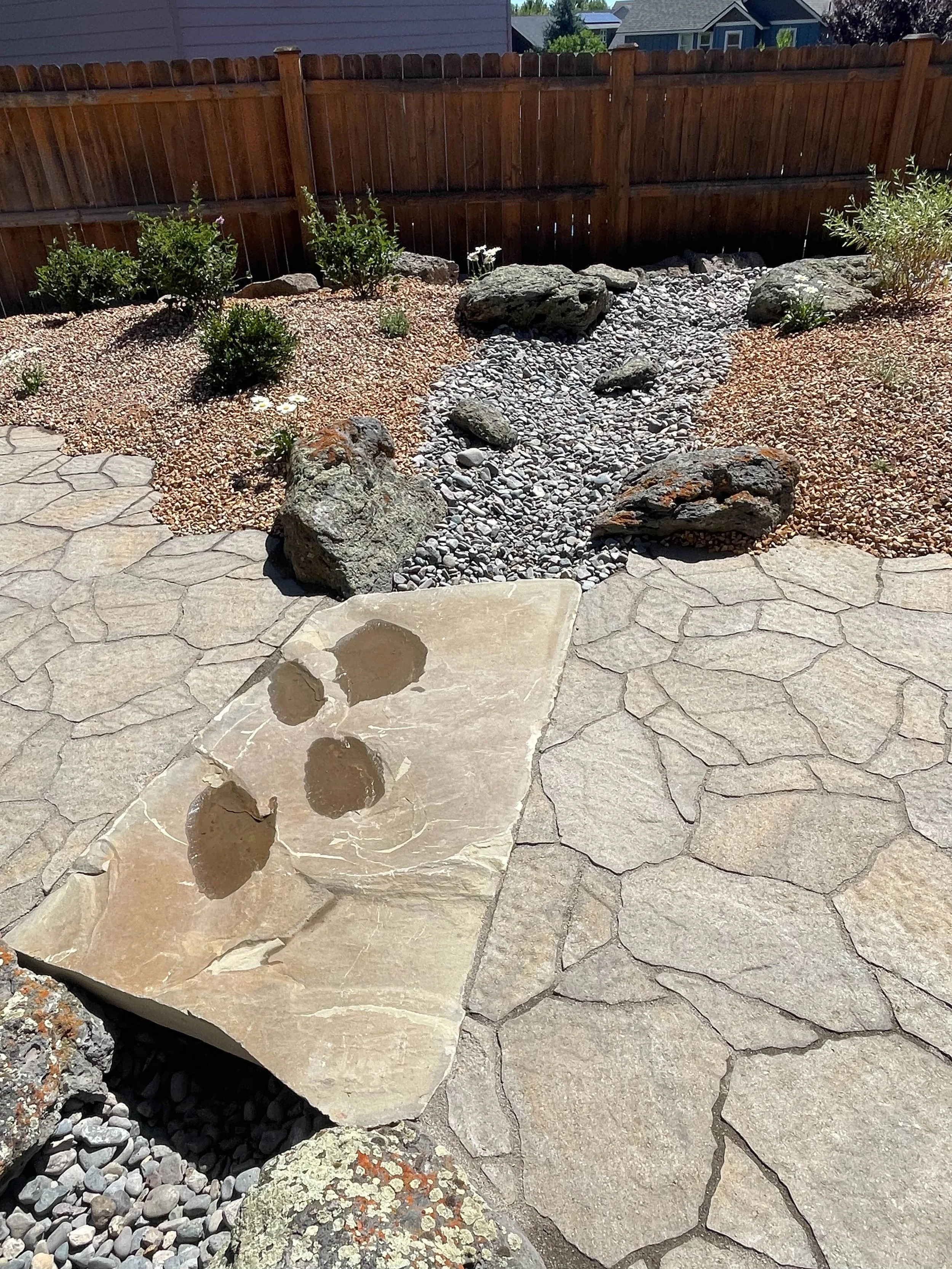 A backyard garden with a stone pathway, a small rock-lined dry creek bed, and a wooden fence in the background. The creek bed has rocks and gravel, and the pathway has irregularly shaped paving stones.