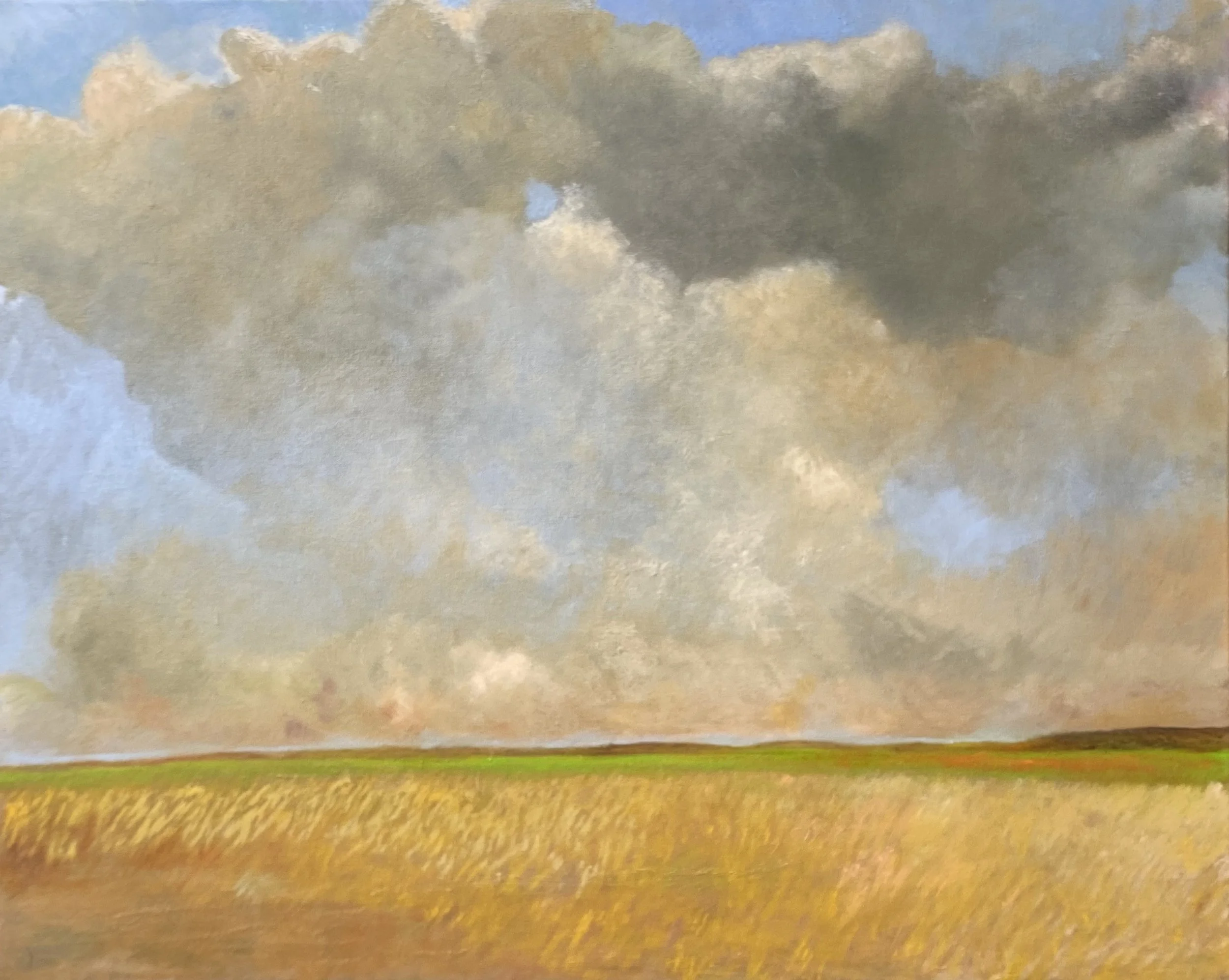 Wheat field - (24x30 on canvas), $1,500 (shadow box framed)