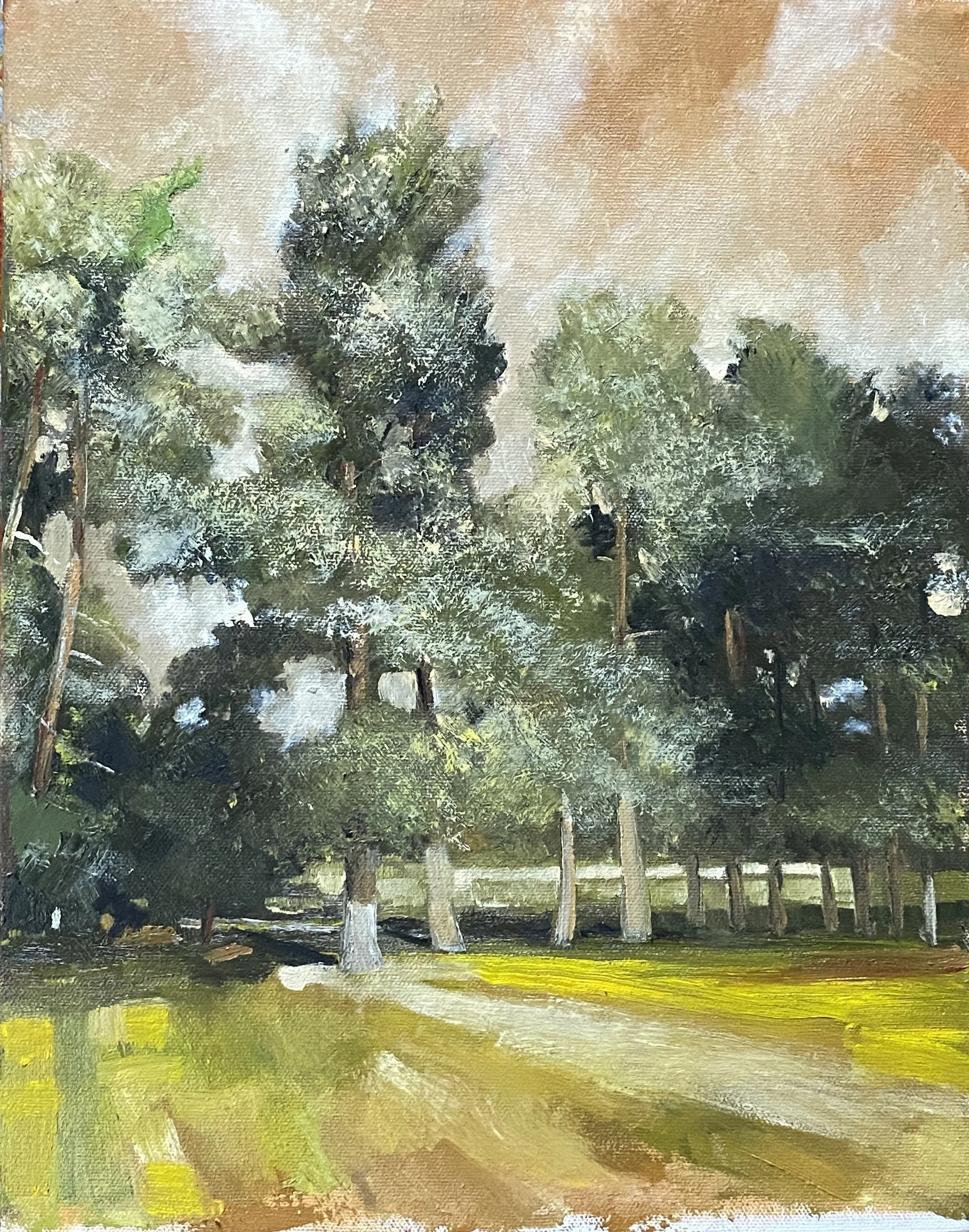 Lozere, France #4 (14x11 on canvas), $600