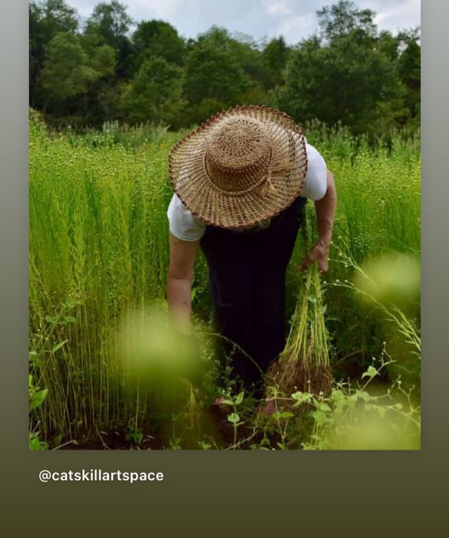 Fiber artist opportunity in Sullivan County! @catskillartspace Fiber artists are encouraged to apply for a fiber arts residency in a scenic farm and homestead in Livingston Manor, NY. Jointly hosted by CAS and Gael Roots (@growwildroots), artists are