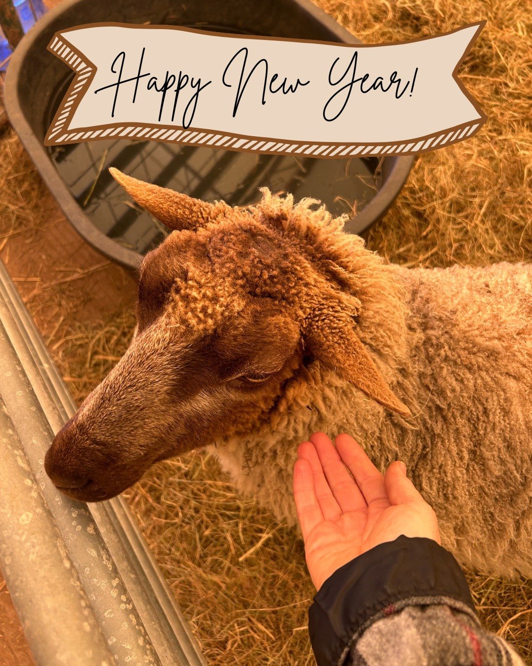 Spin in New Date and Time link in bio