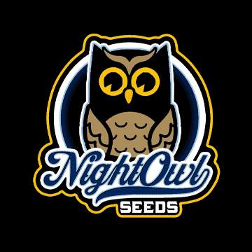 NightOwlLogo.png