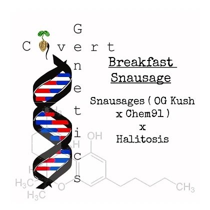 breakfast snausage pic covert genetics