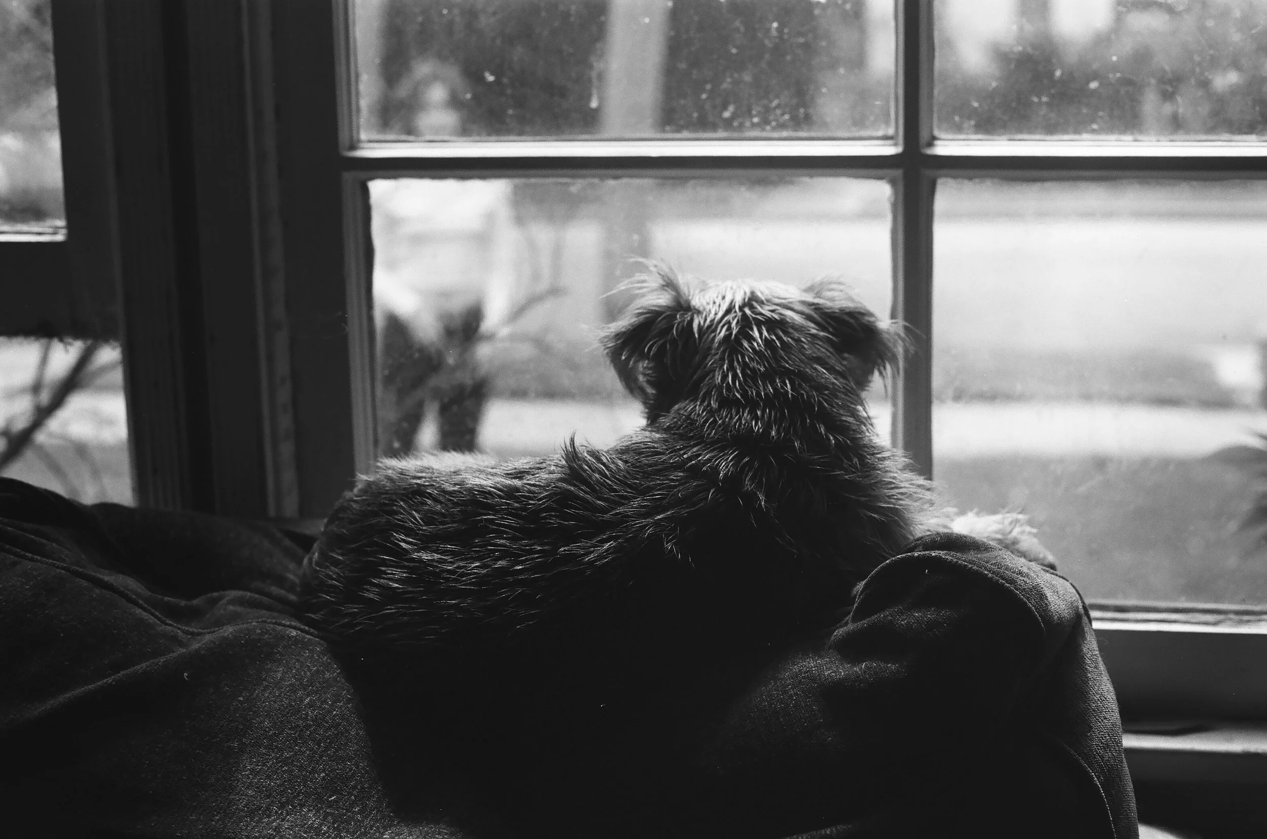 did they forget about me?.jpg