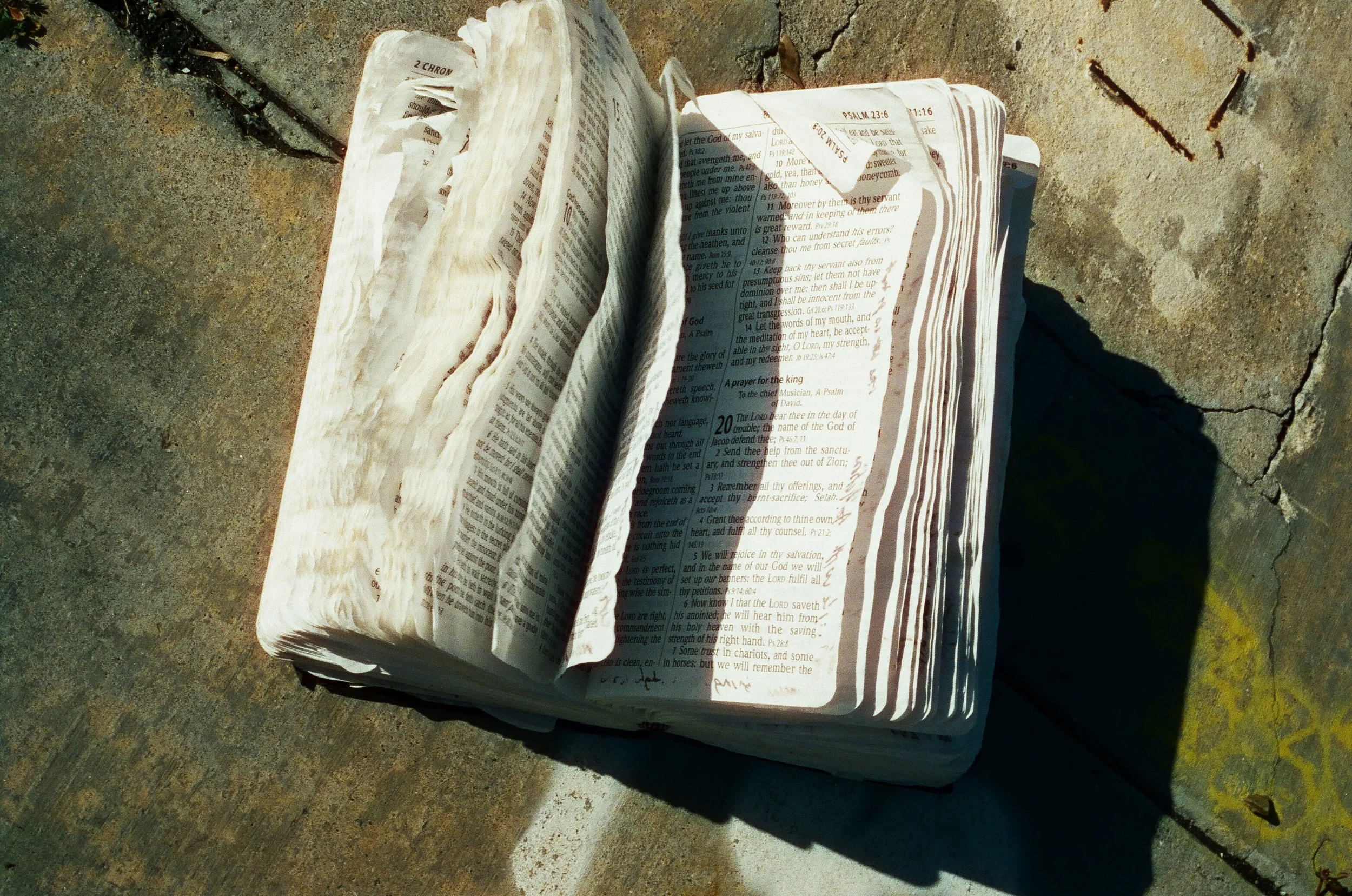 000326520029 copy.jpg