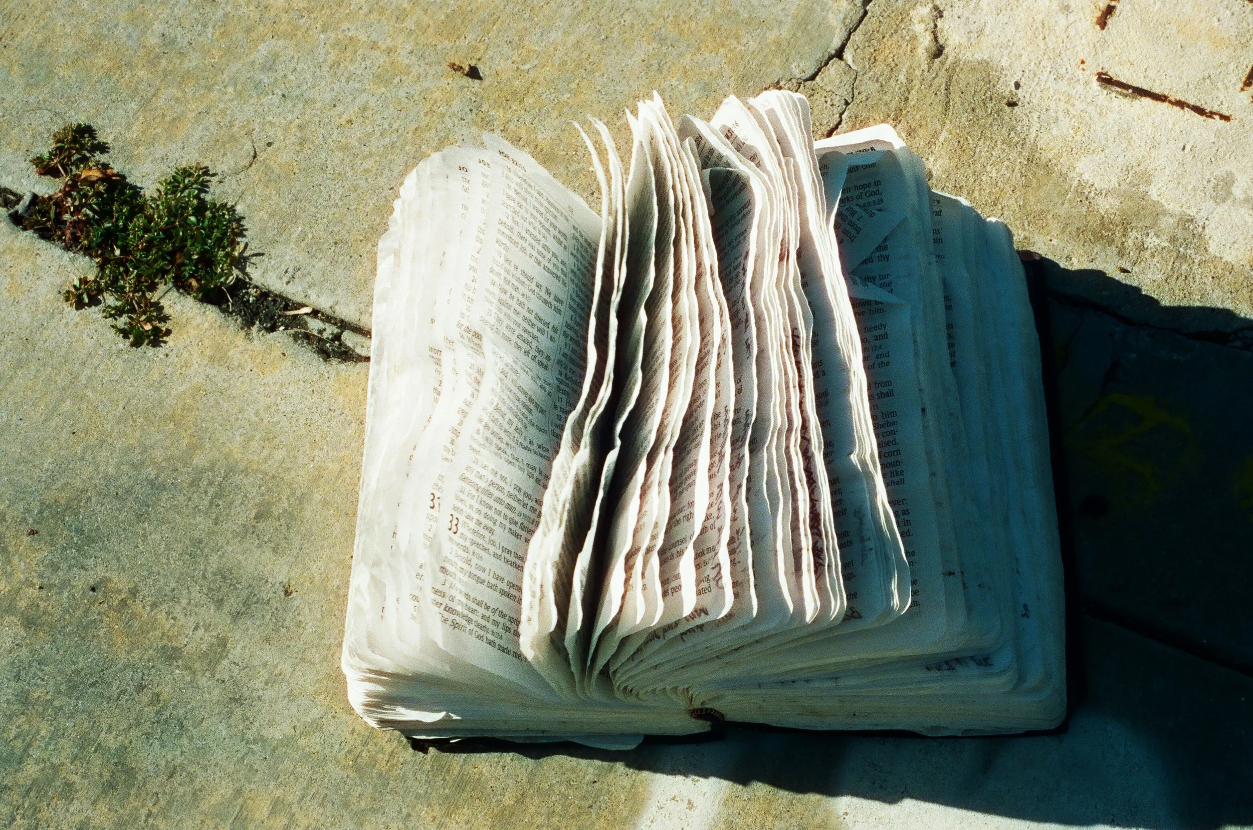 000326520028 copy.jpg