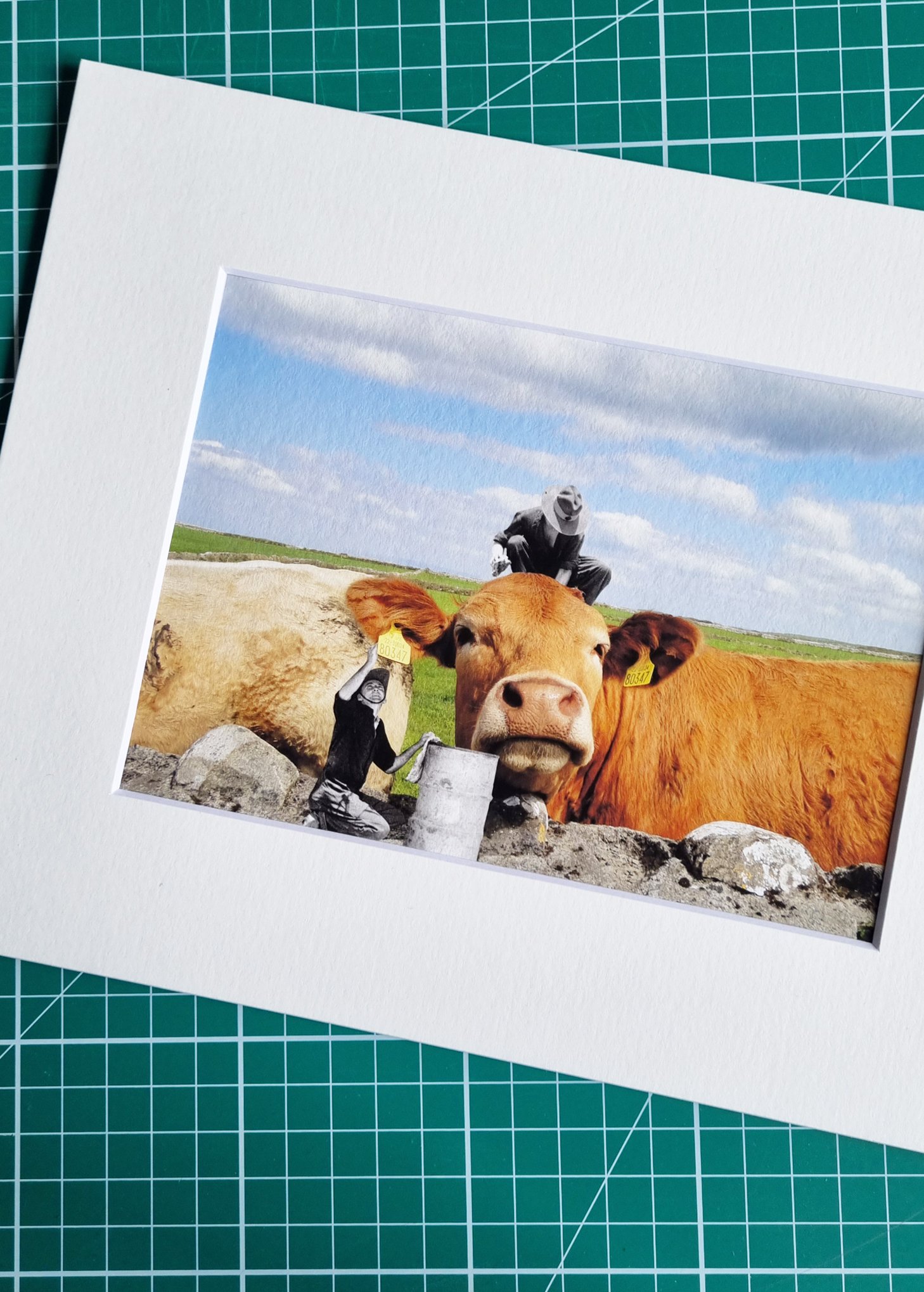 WEB 5 x 7_0010_COW WASH WEB.jpg
