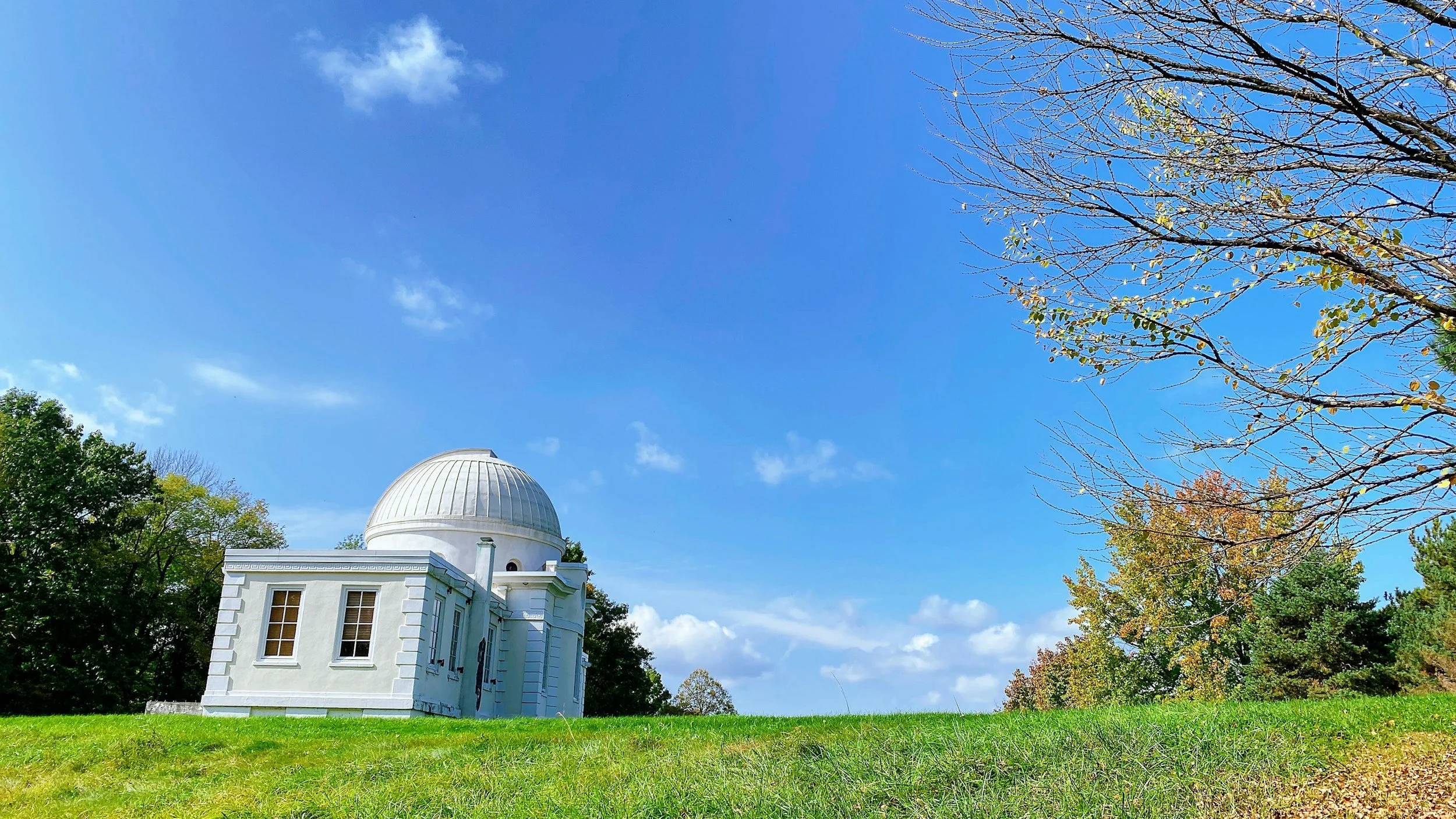 Cornell Deferred You: Now What? 