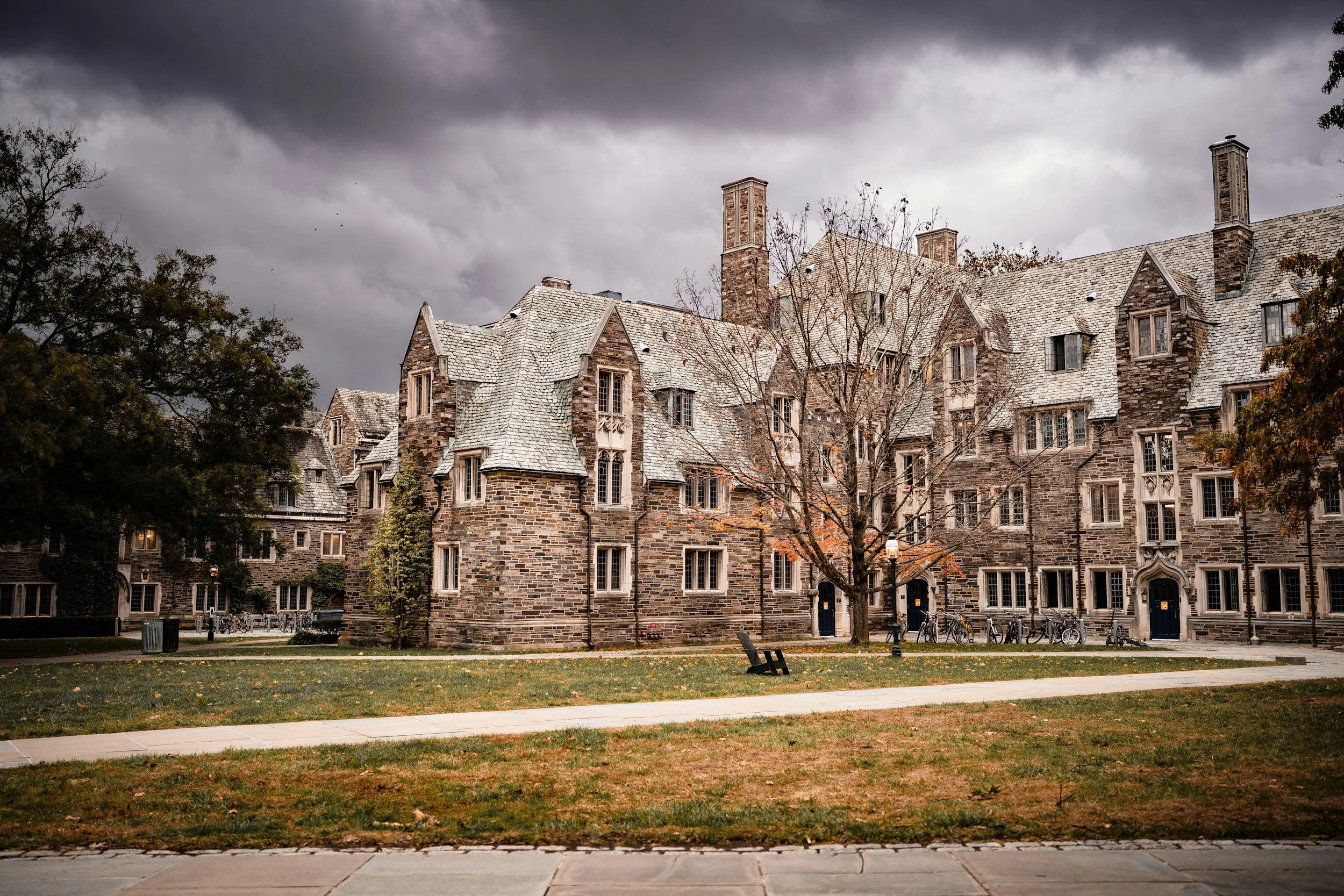 Princeton Deferred You: Now What? 