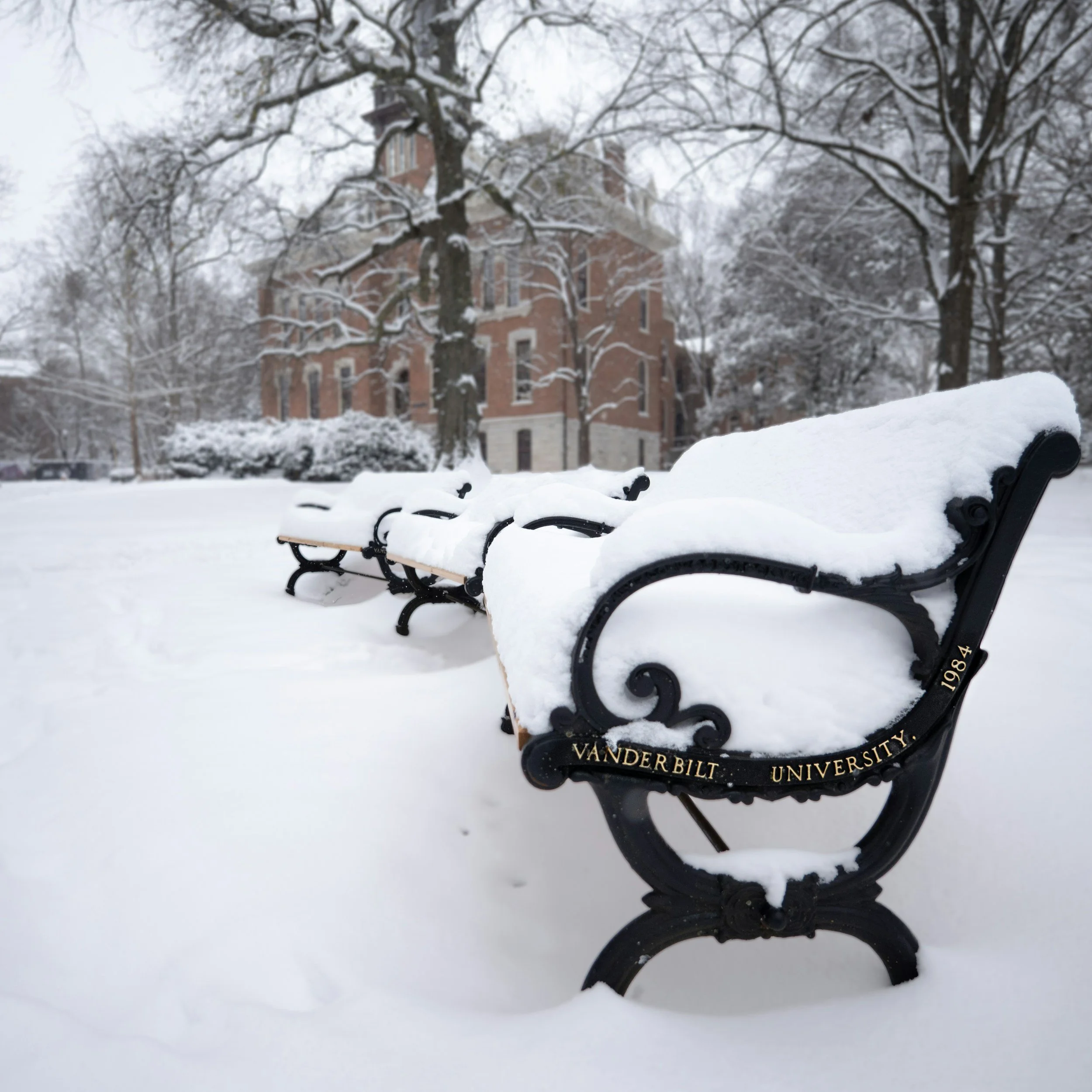 Vanderbilt Deferred You: Now What? 