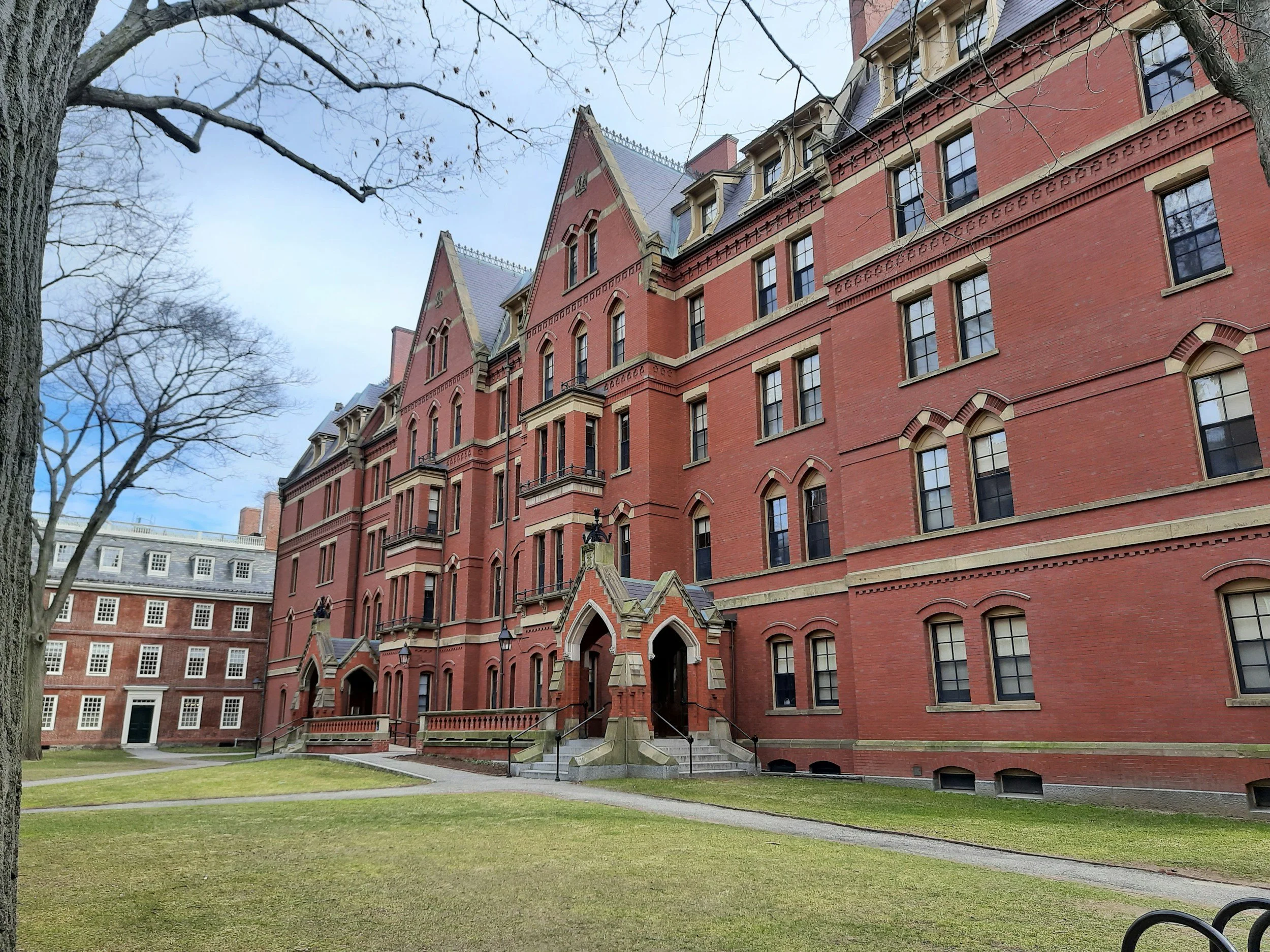 Harvard Deferred You: Now What?