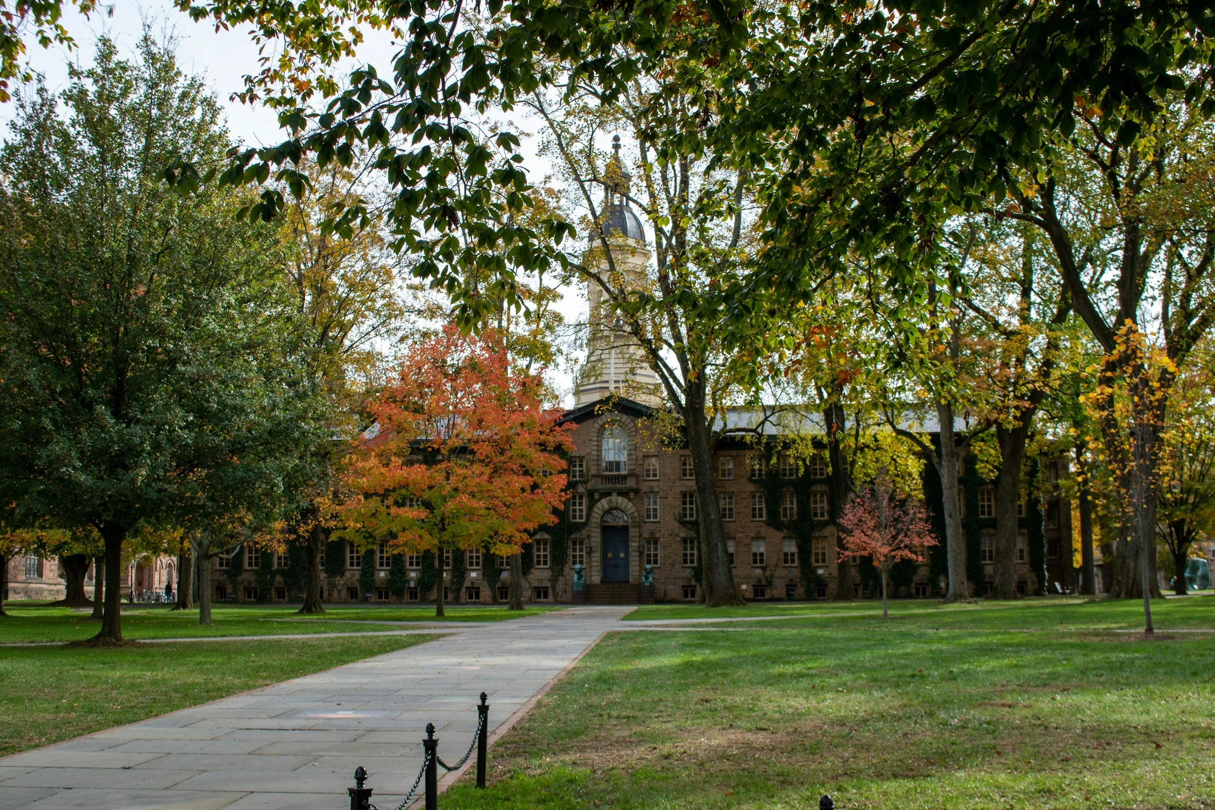 Cornell Deferred You: Now What?