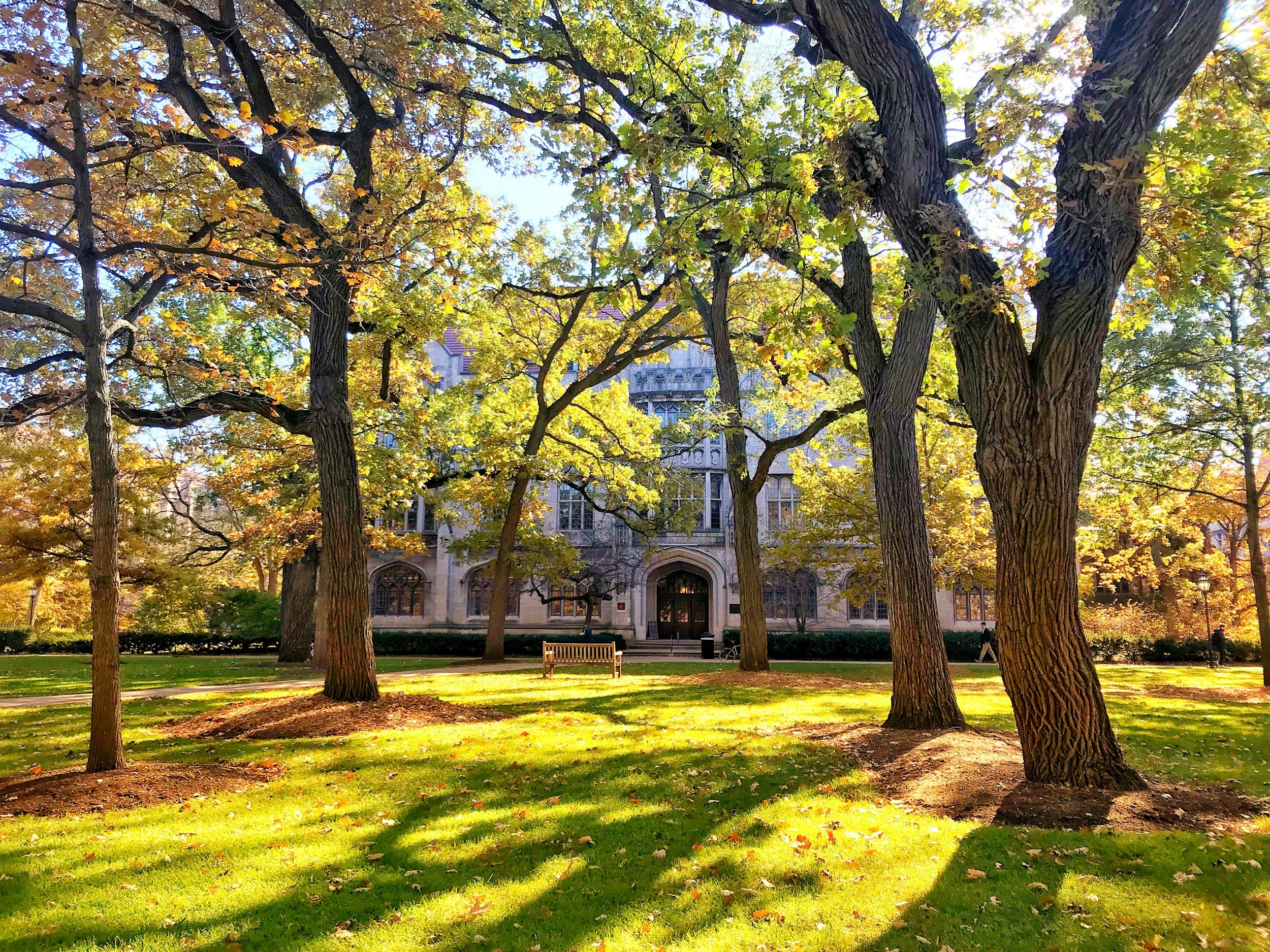 UChicago Deferred You: Now What? 