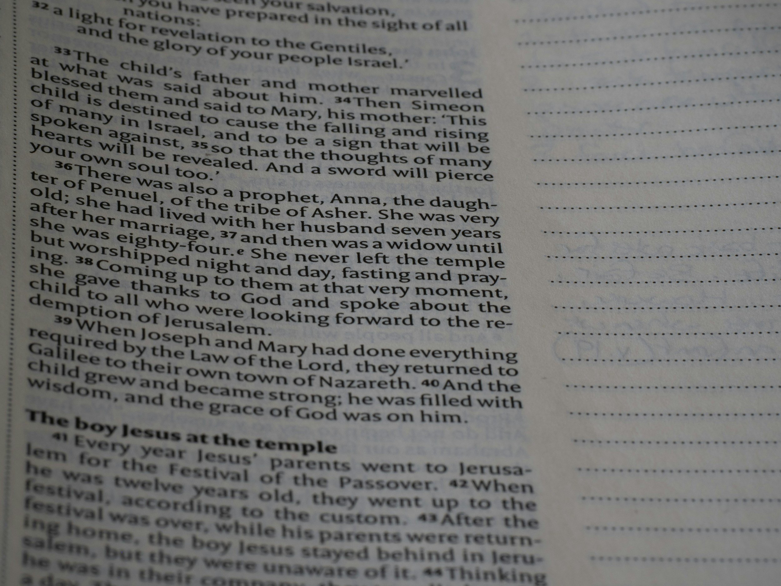 Examples of Creative Common App Essays 