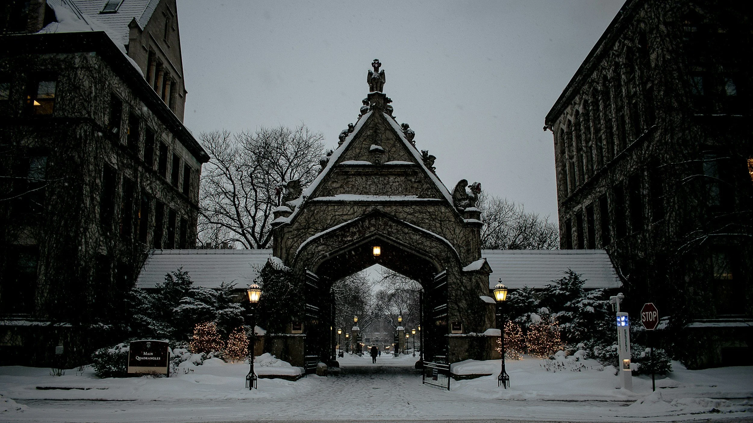 Waitlisted from University of Chicago: What to Do 