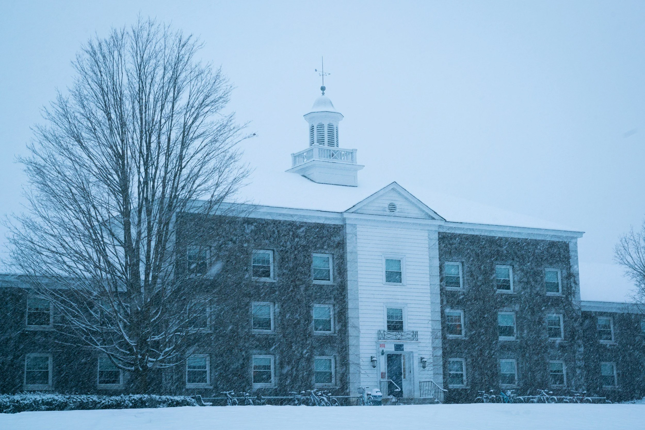 Waitlisted from Babson College: What to Do 