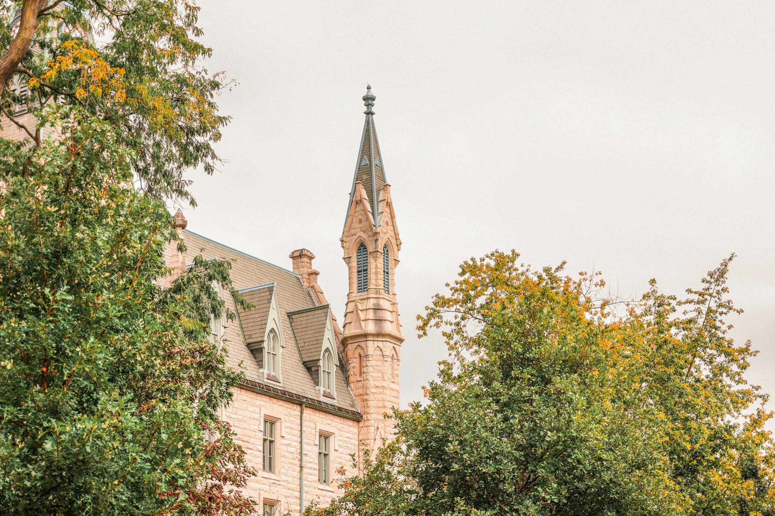 Northwestern Supplemental Essays Guide 2026-2027