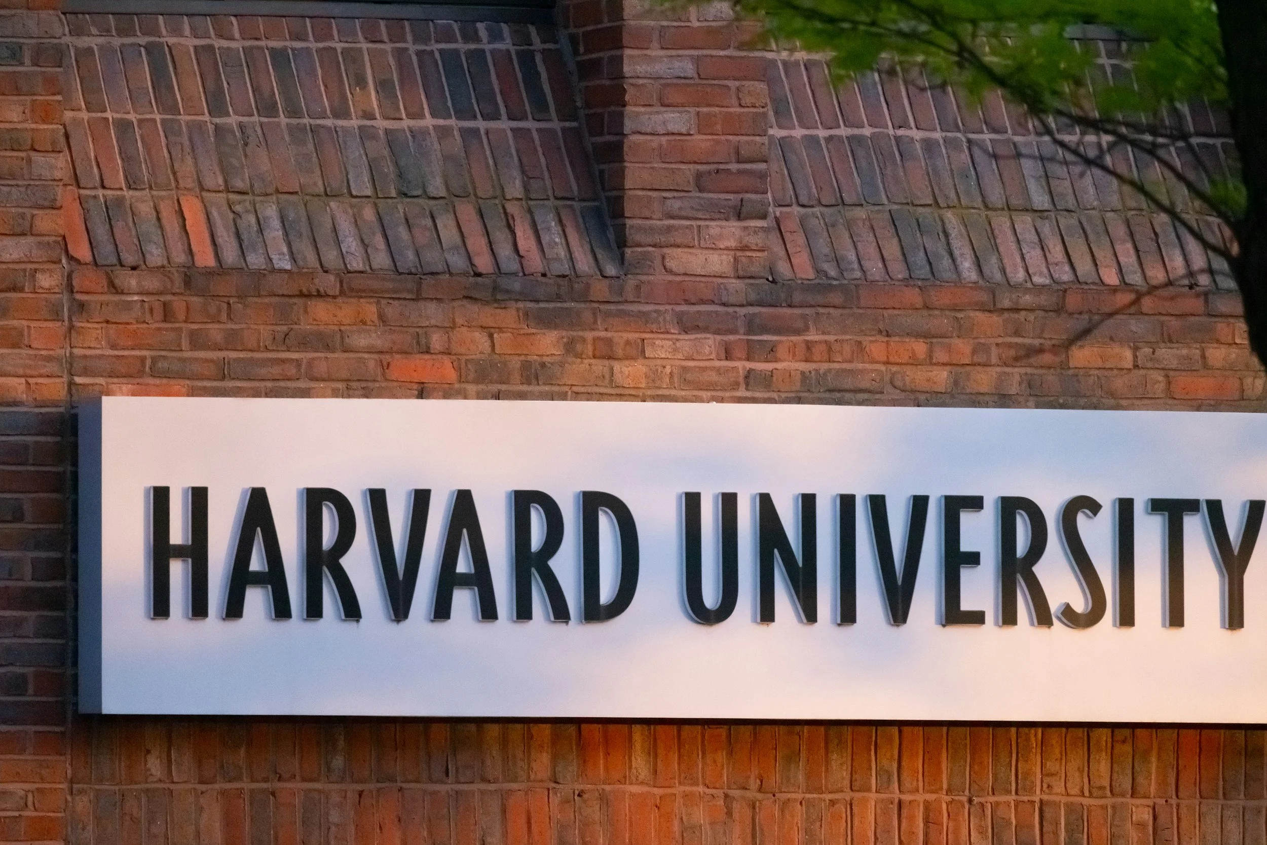 How Does Admissions at Harvard Work?