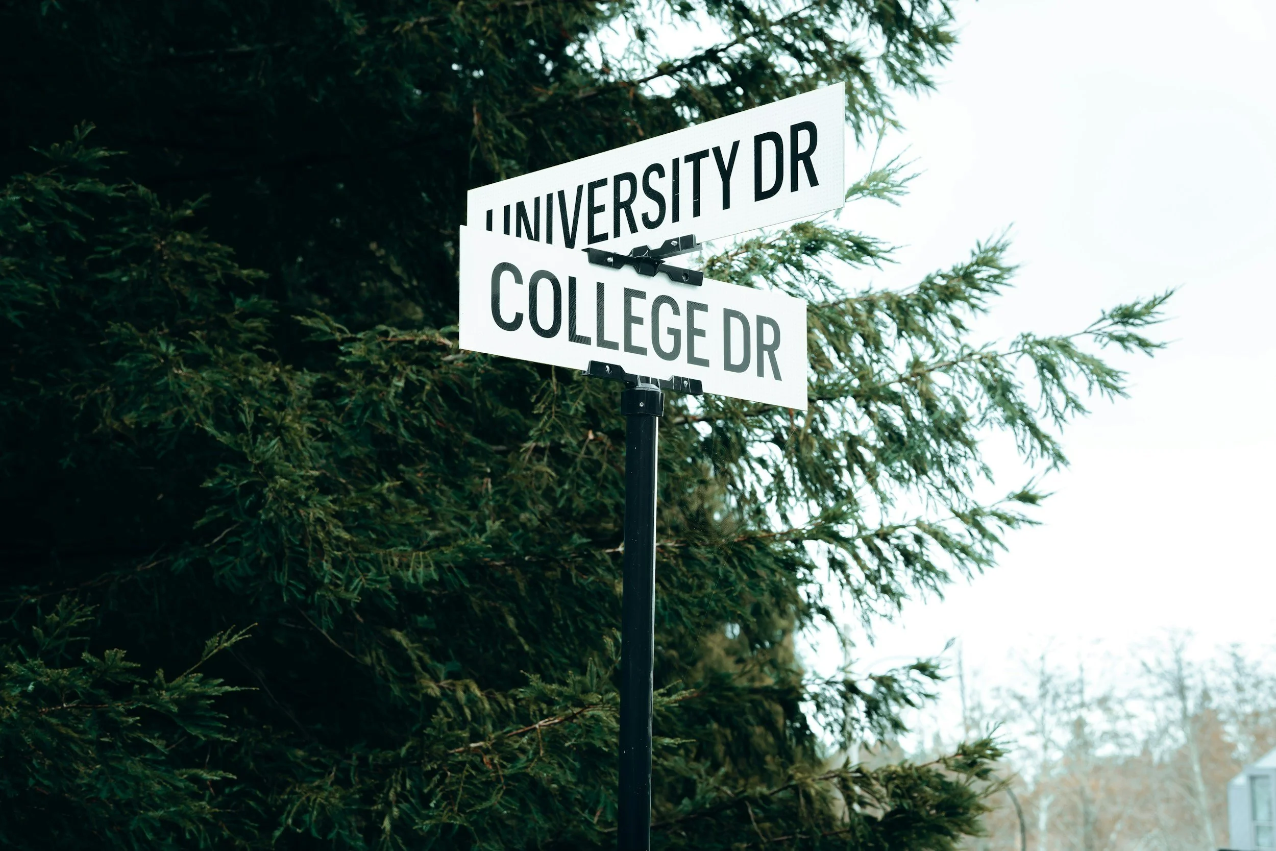 Why Sitting Admissions Officers Keep Their Advice General