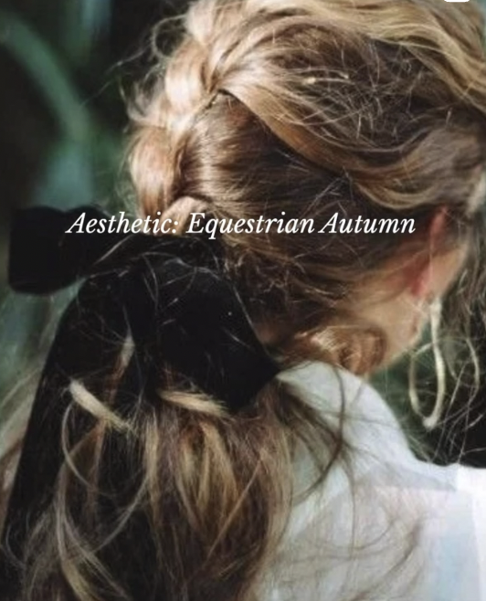 Close-up of a woman's hair in a low ponytail with a black bow, with greenery in the background, overlaid with the text 'Aesthetic: Equestrian Autumn'.