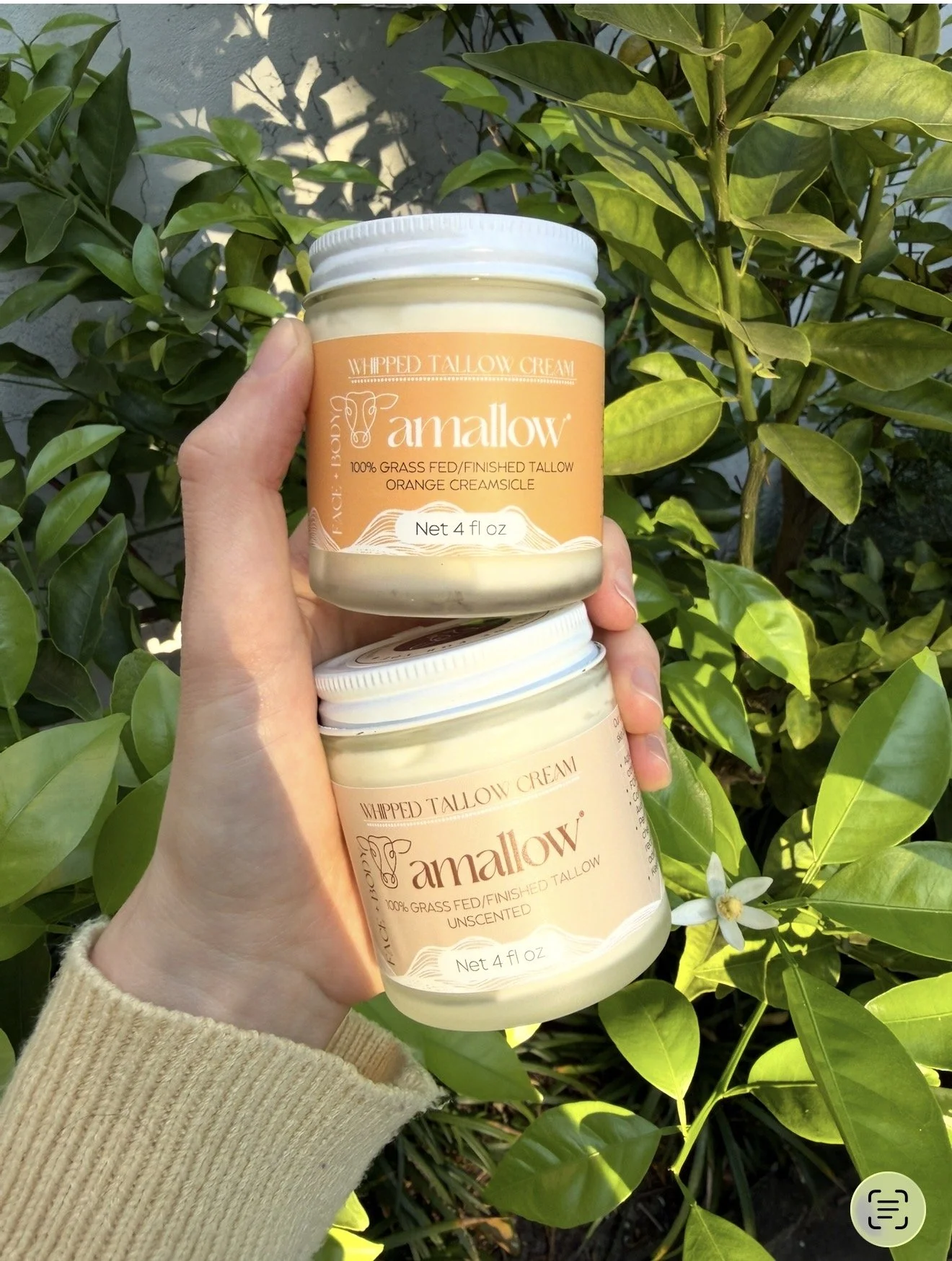 Two jars of Amallow whipped tallow cream held by a person's hand outdoors with green leafy plants in the background.