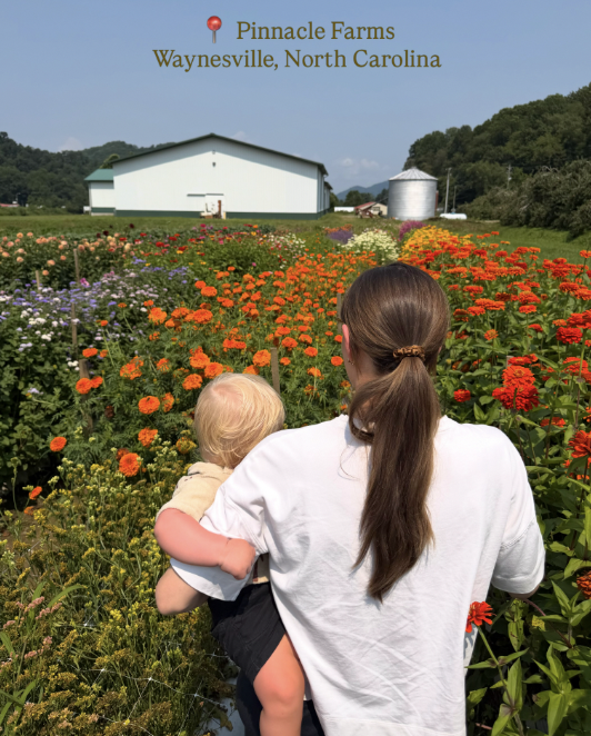 Woman holding a child in a colorful flower field at Pinnacle Farms in Waynesville, North Carolina, with farm buildings and a silo in the background.